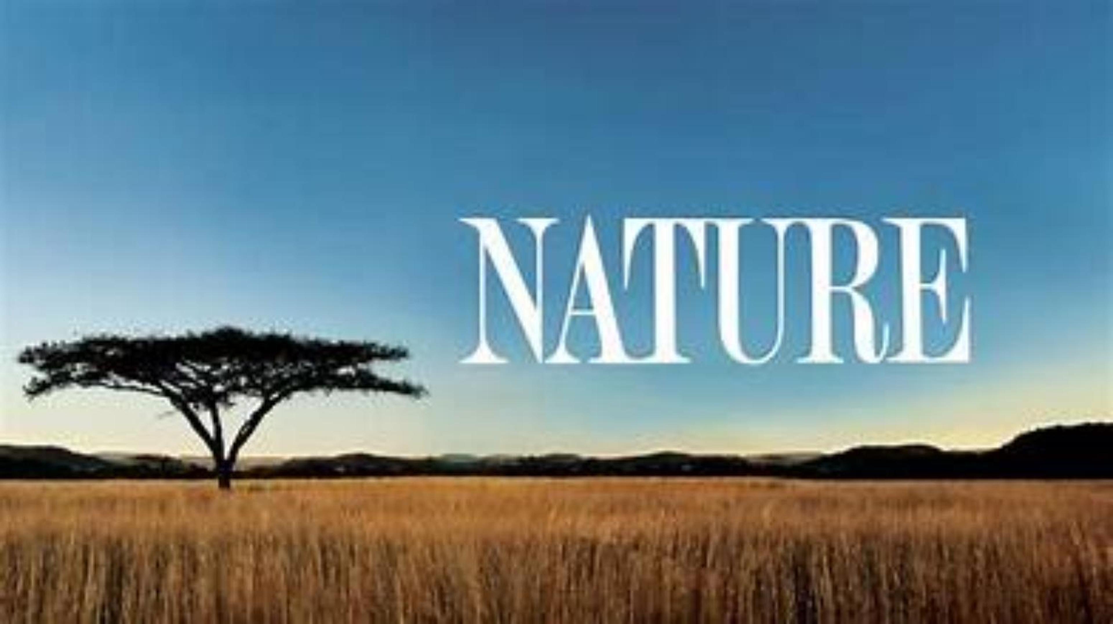 Shop cover image