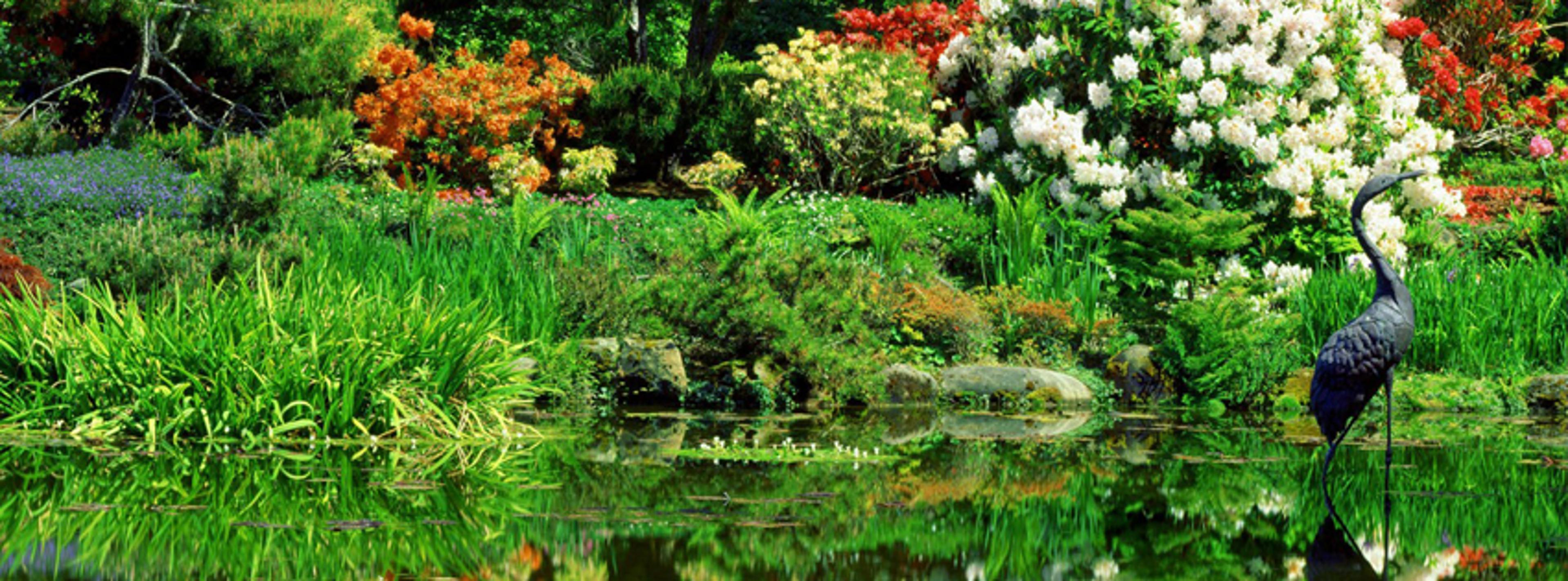 Shop cover image