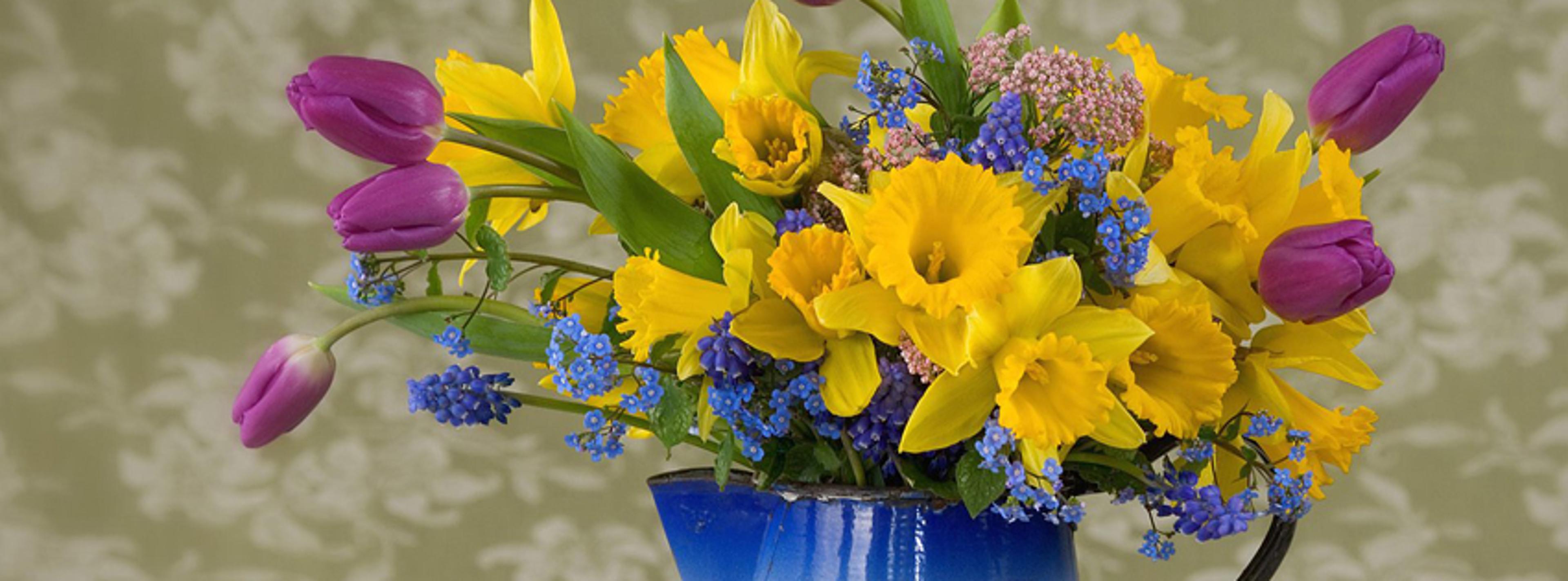 Shop cover image