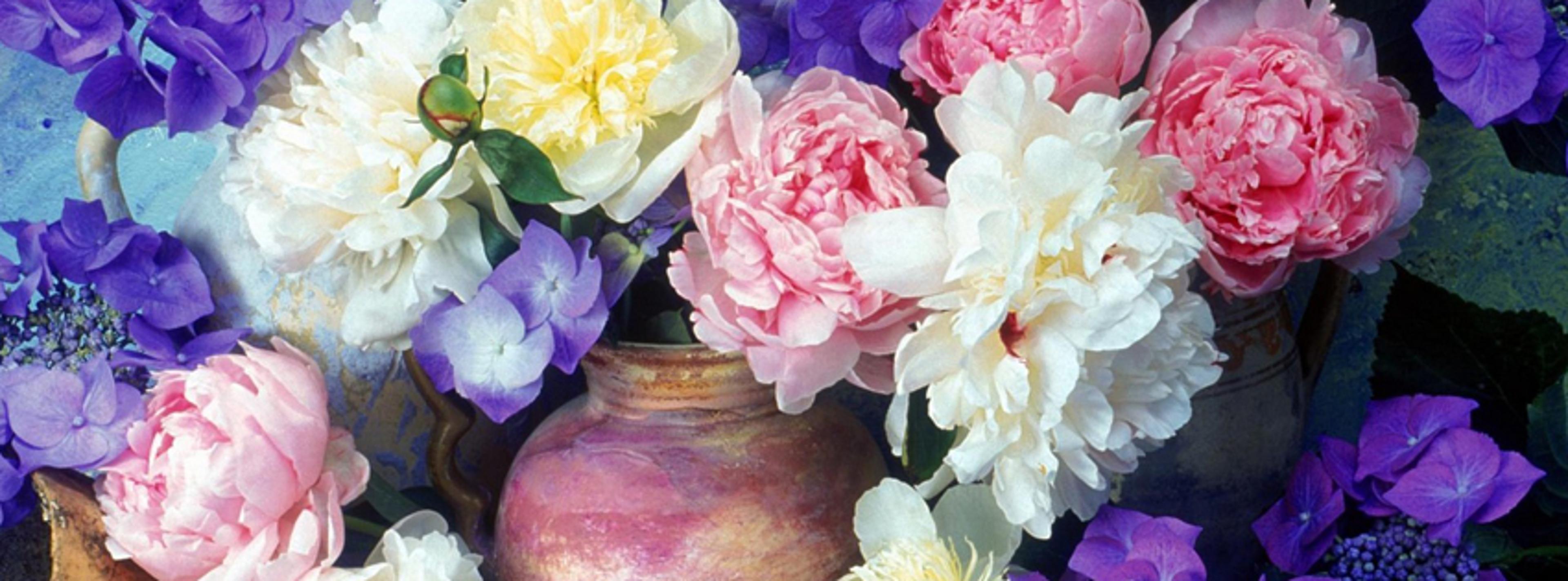 Shop cover image