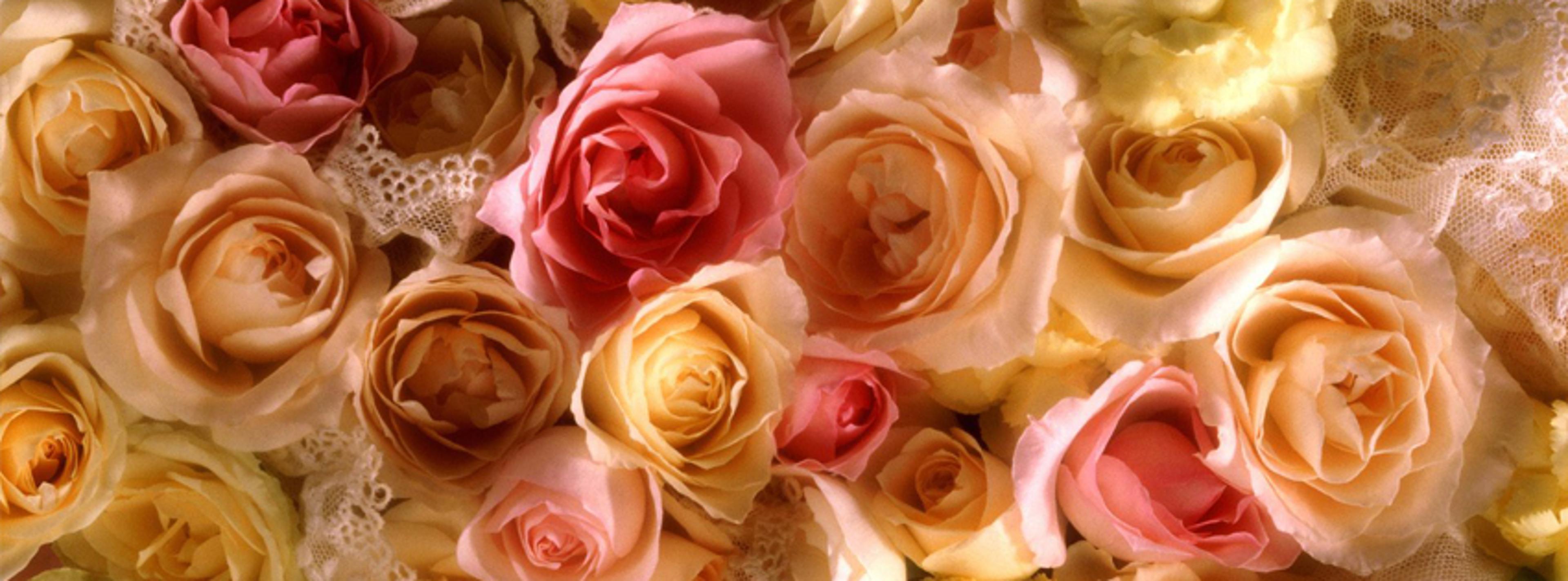 Shop cover image