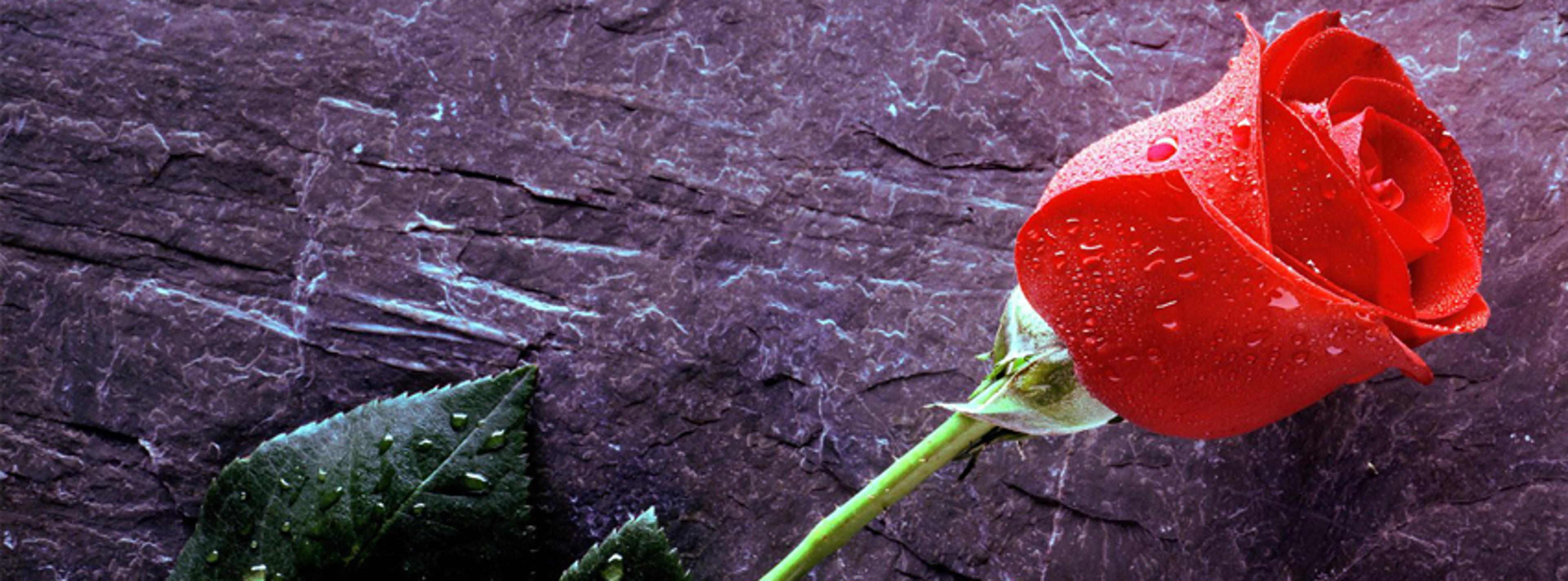 Shop cover image