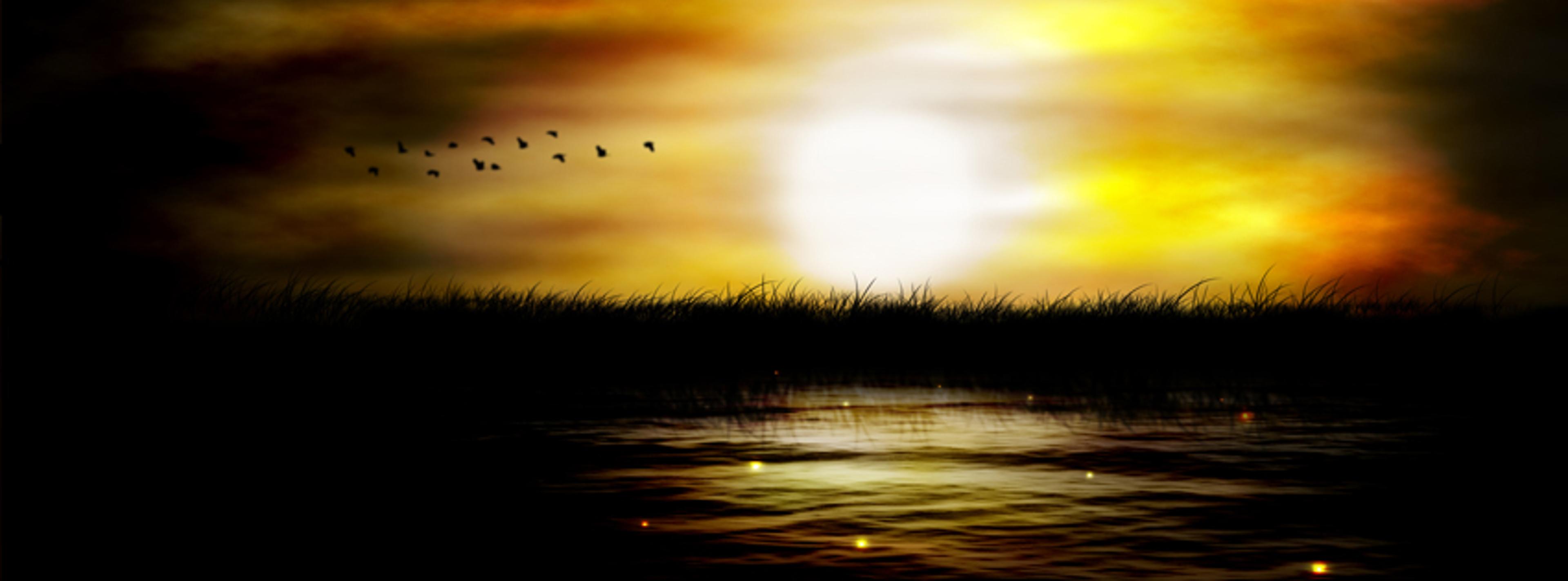 Shop cover image