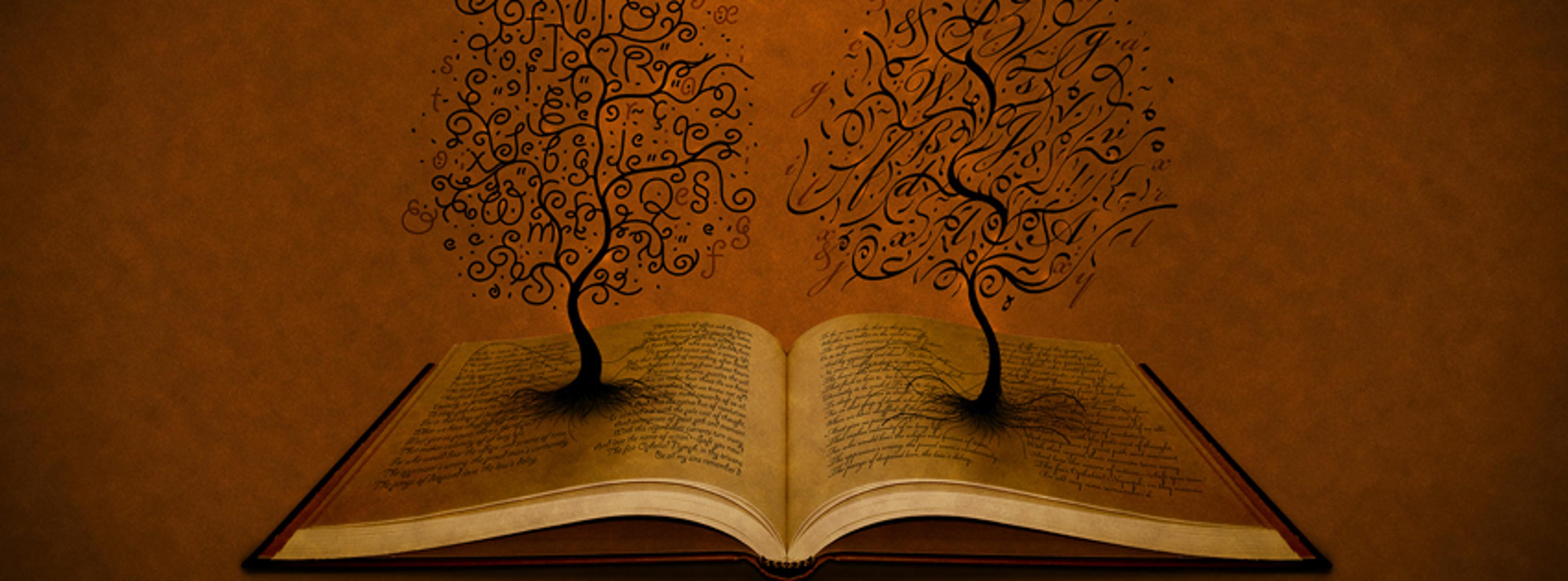 Shop cover image