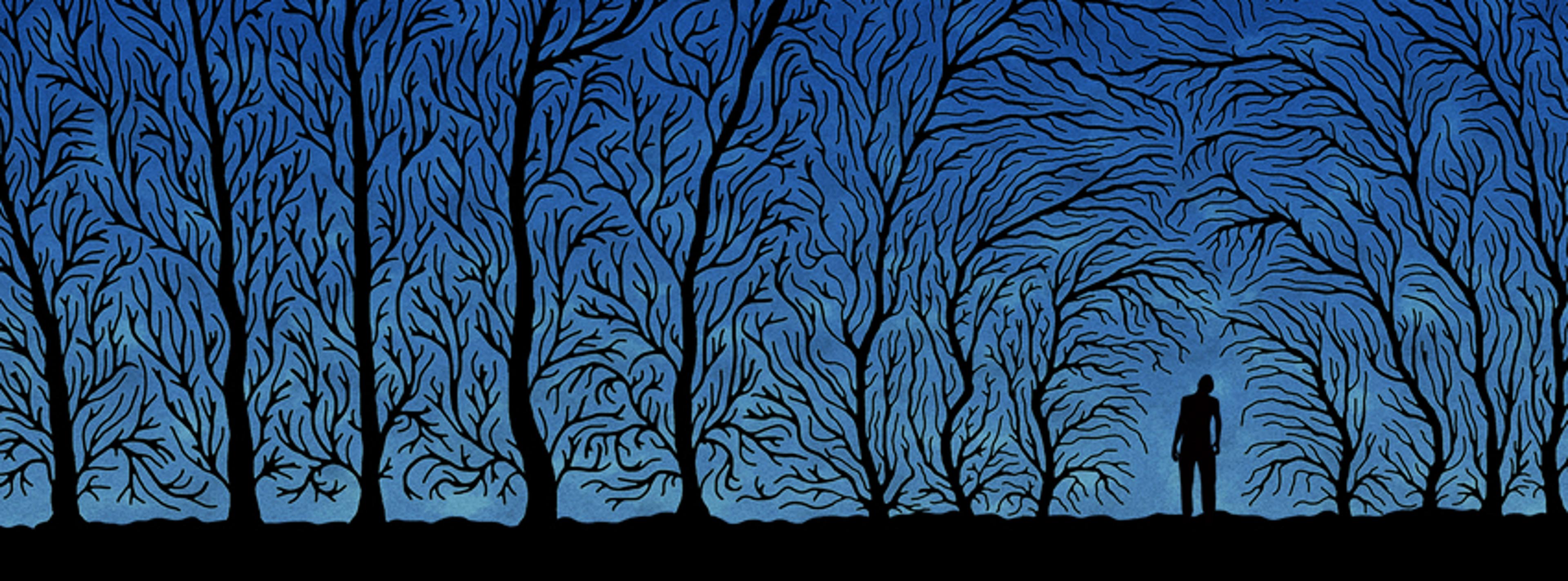 Shop cover image