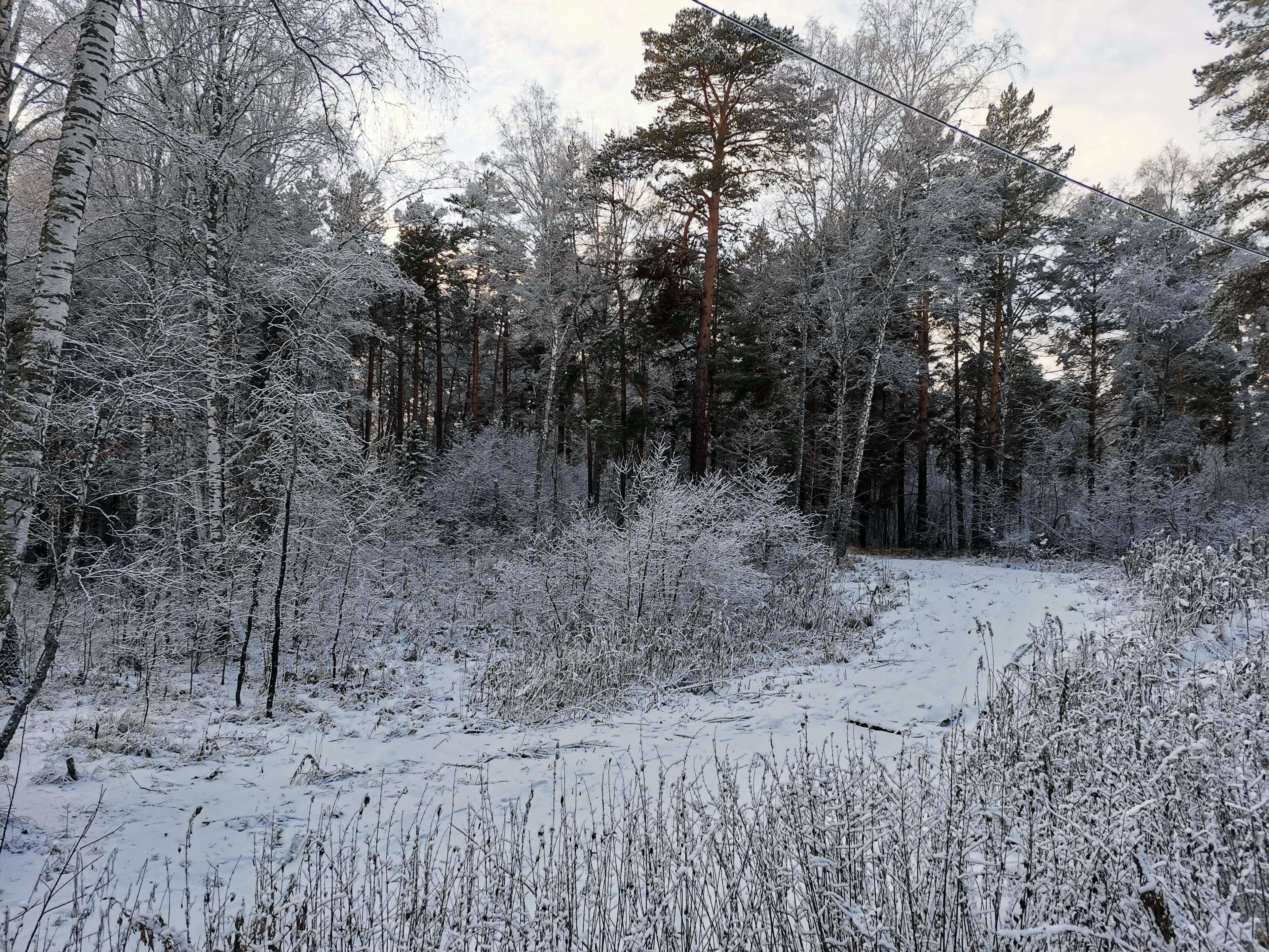 Shop cover image