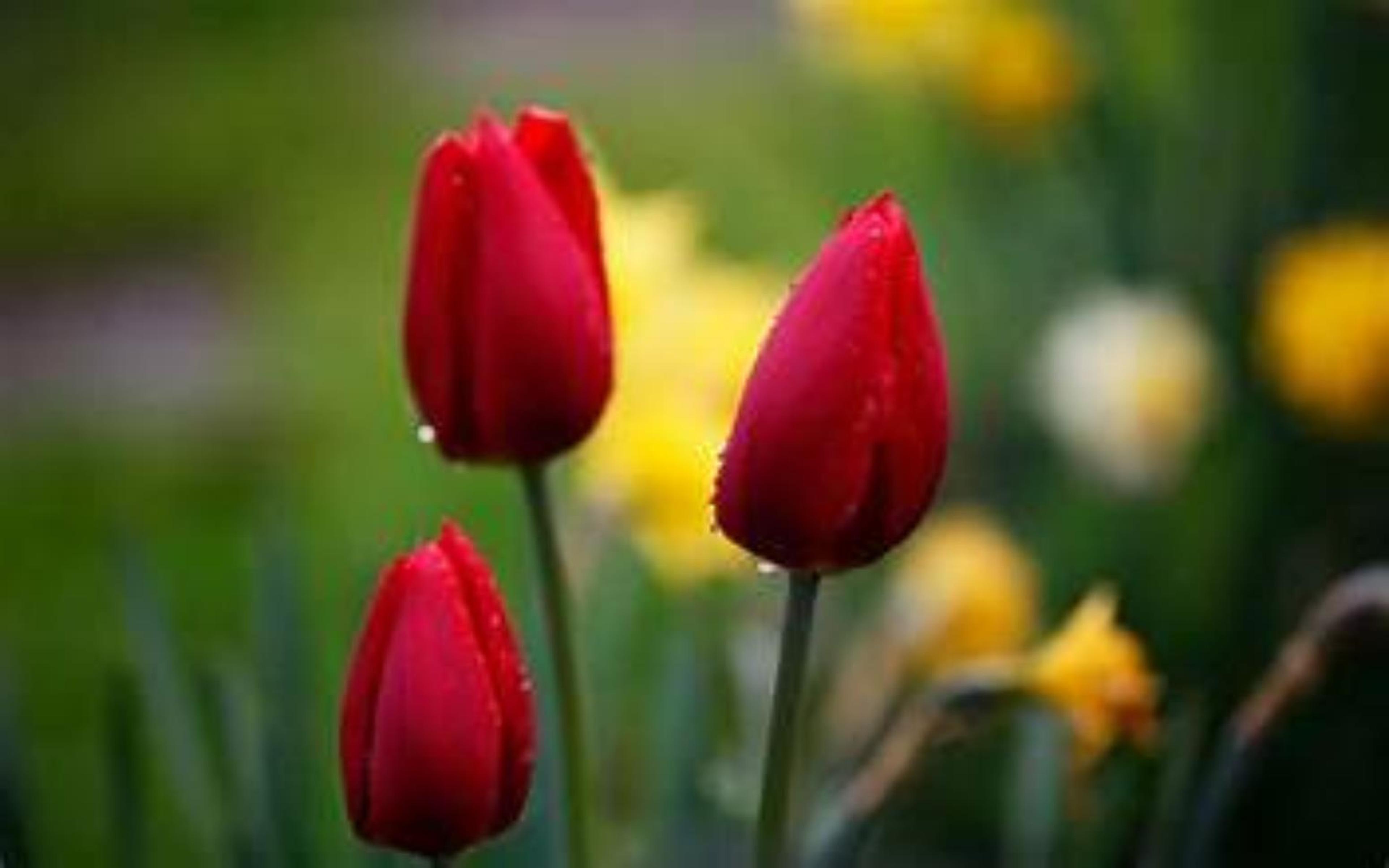 Shop cover image