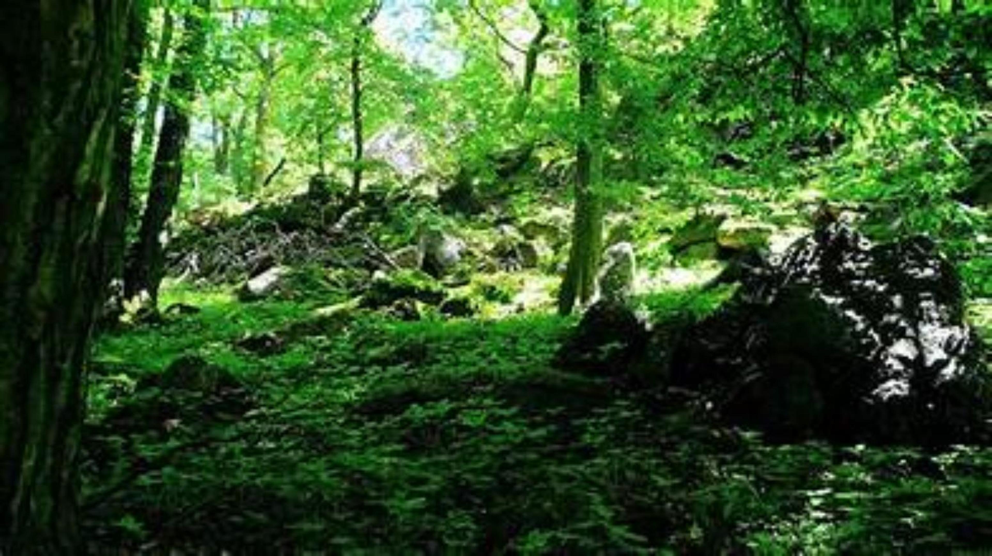 Shop cover image