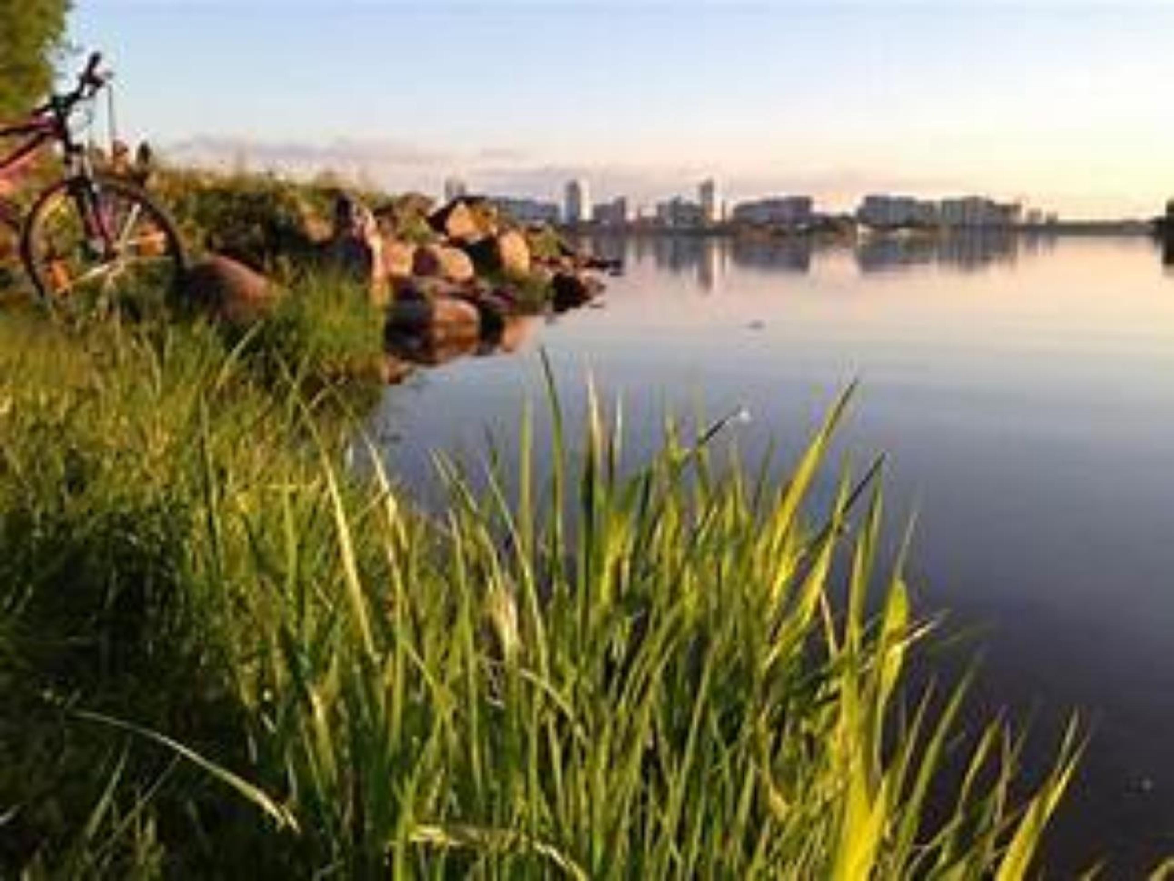 Shop cover image