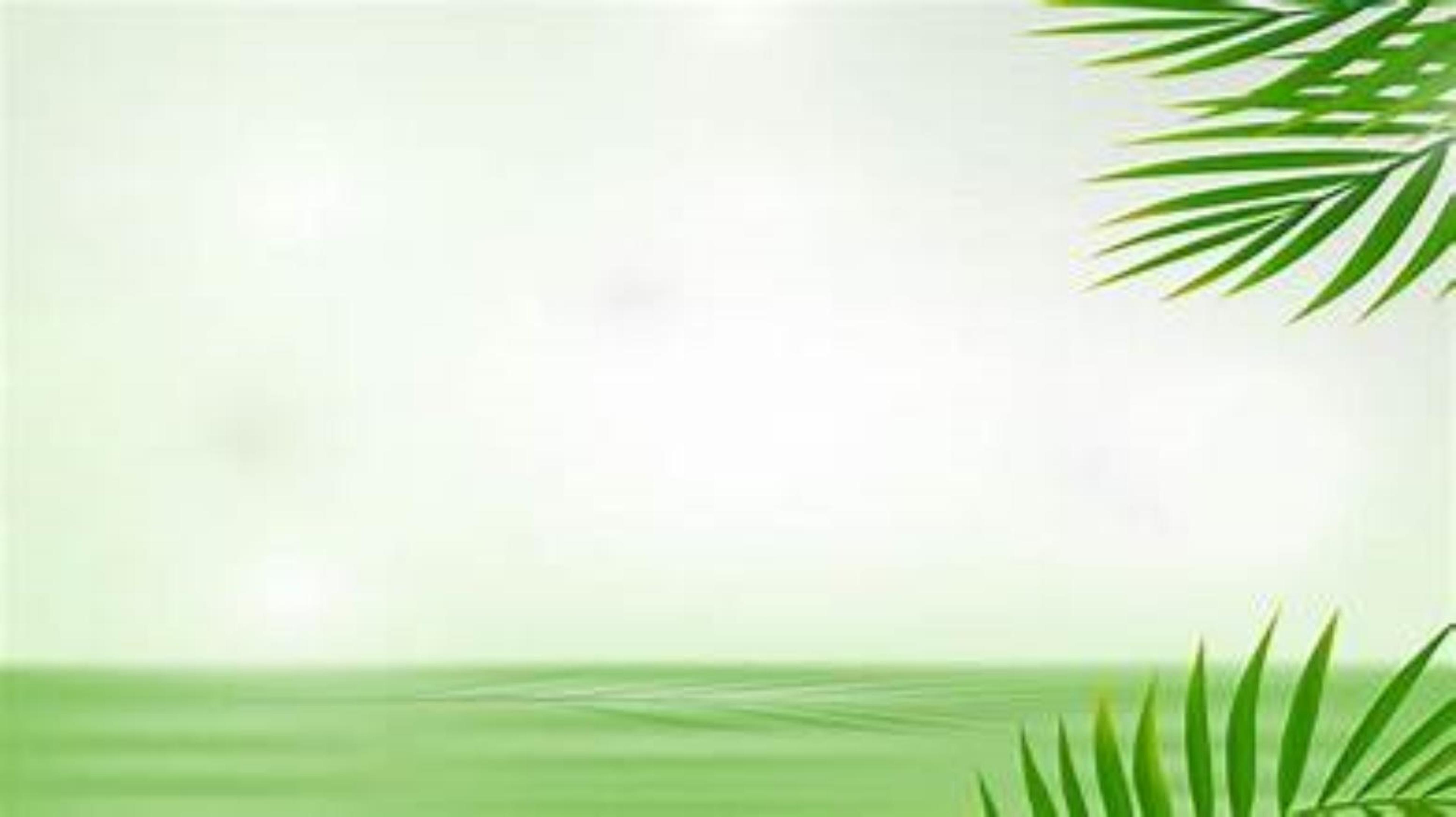 Shop cover image