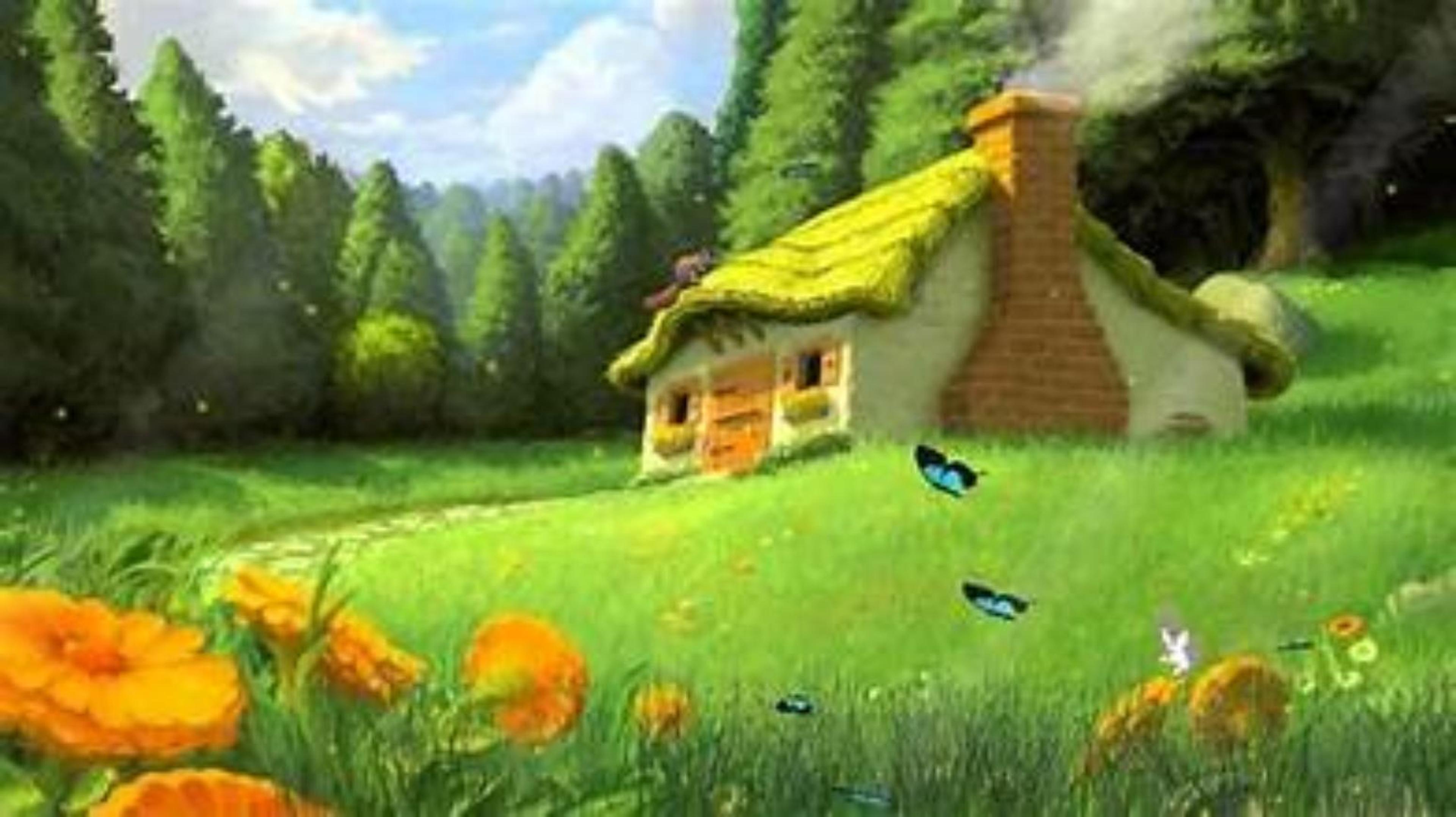Shop cover image