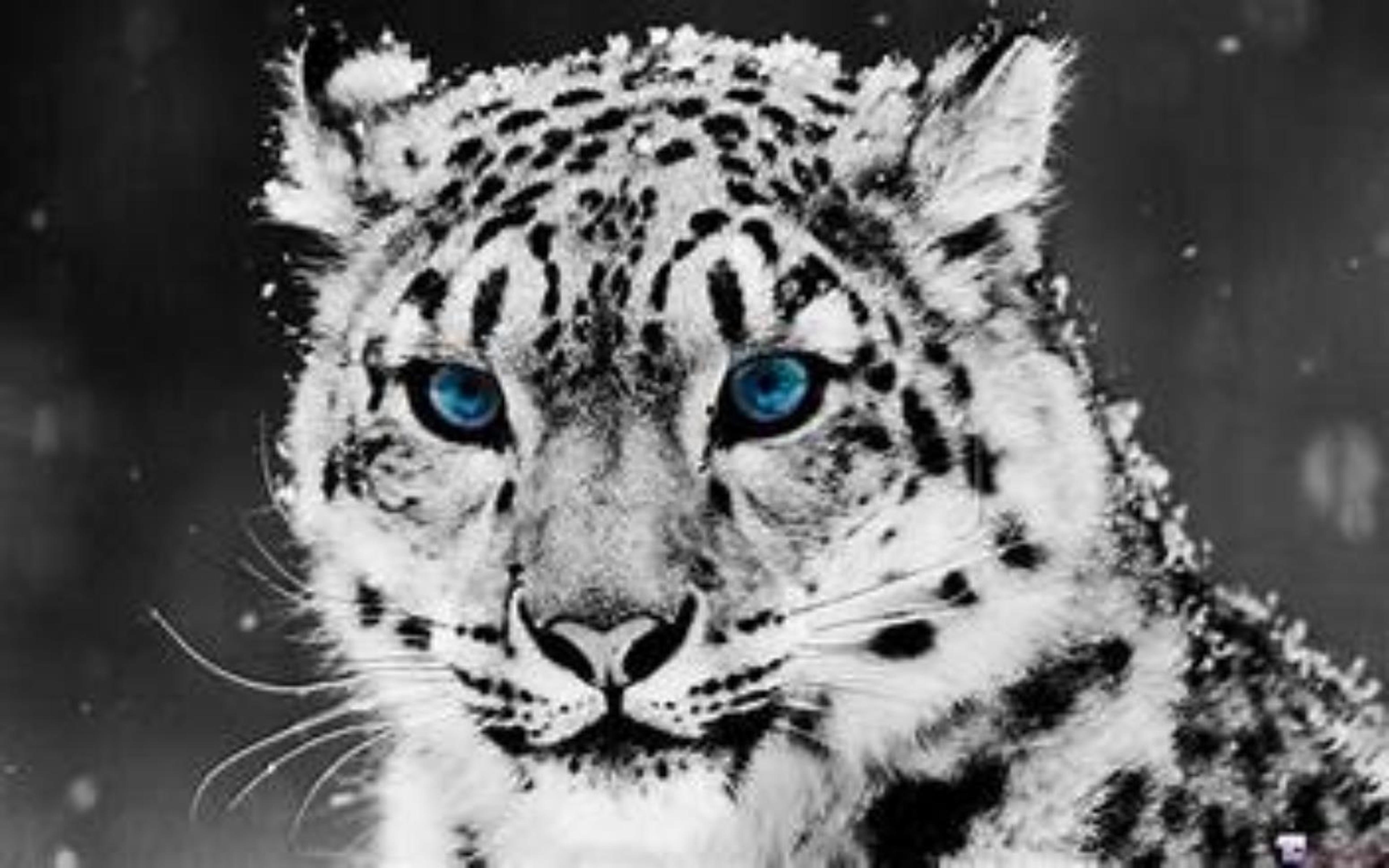 Shop cover image