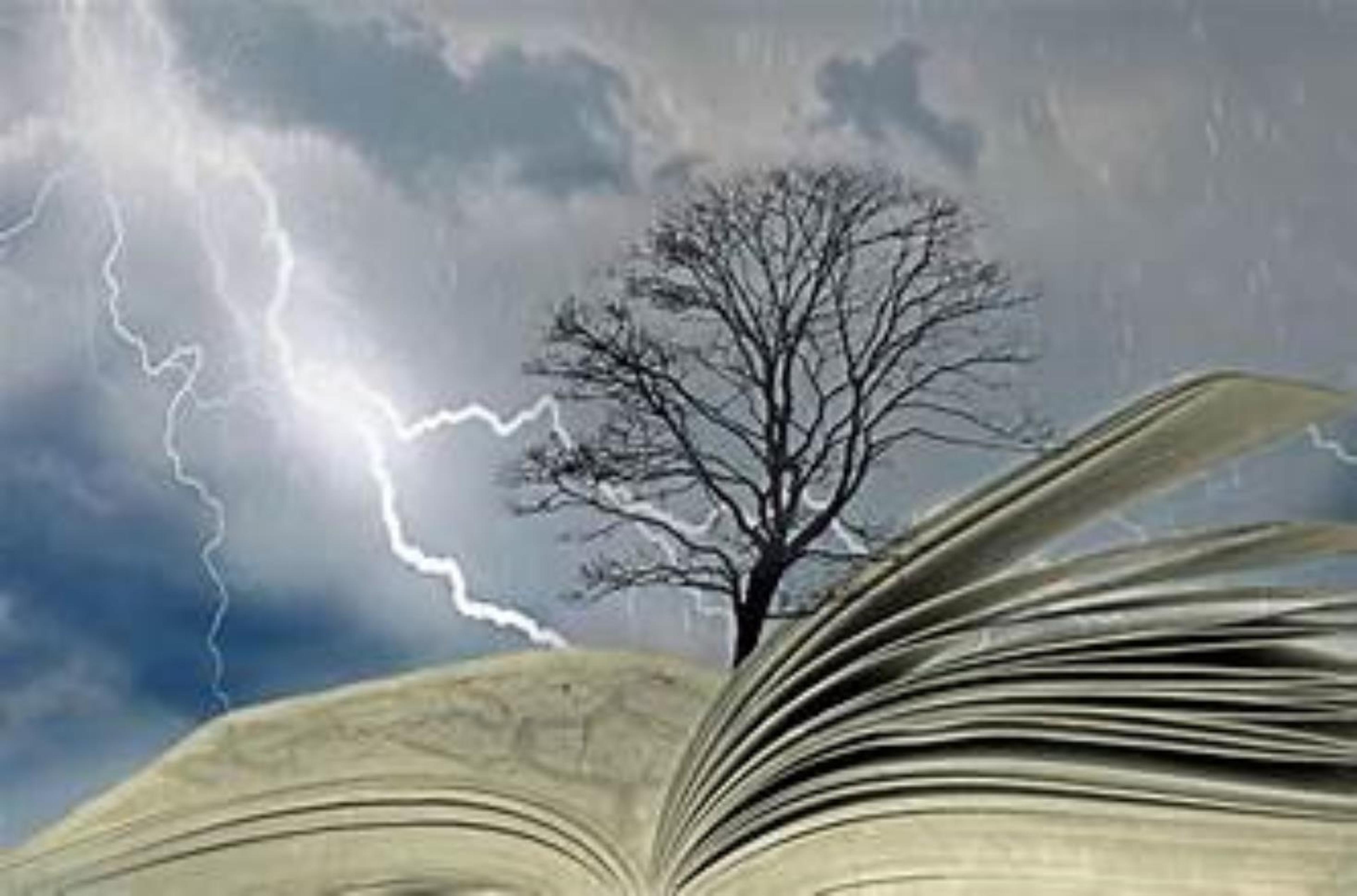 Shop cover image