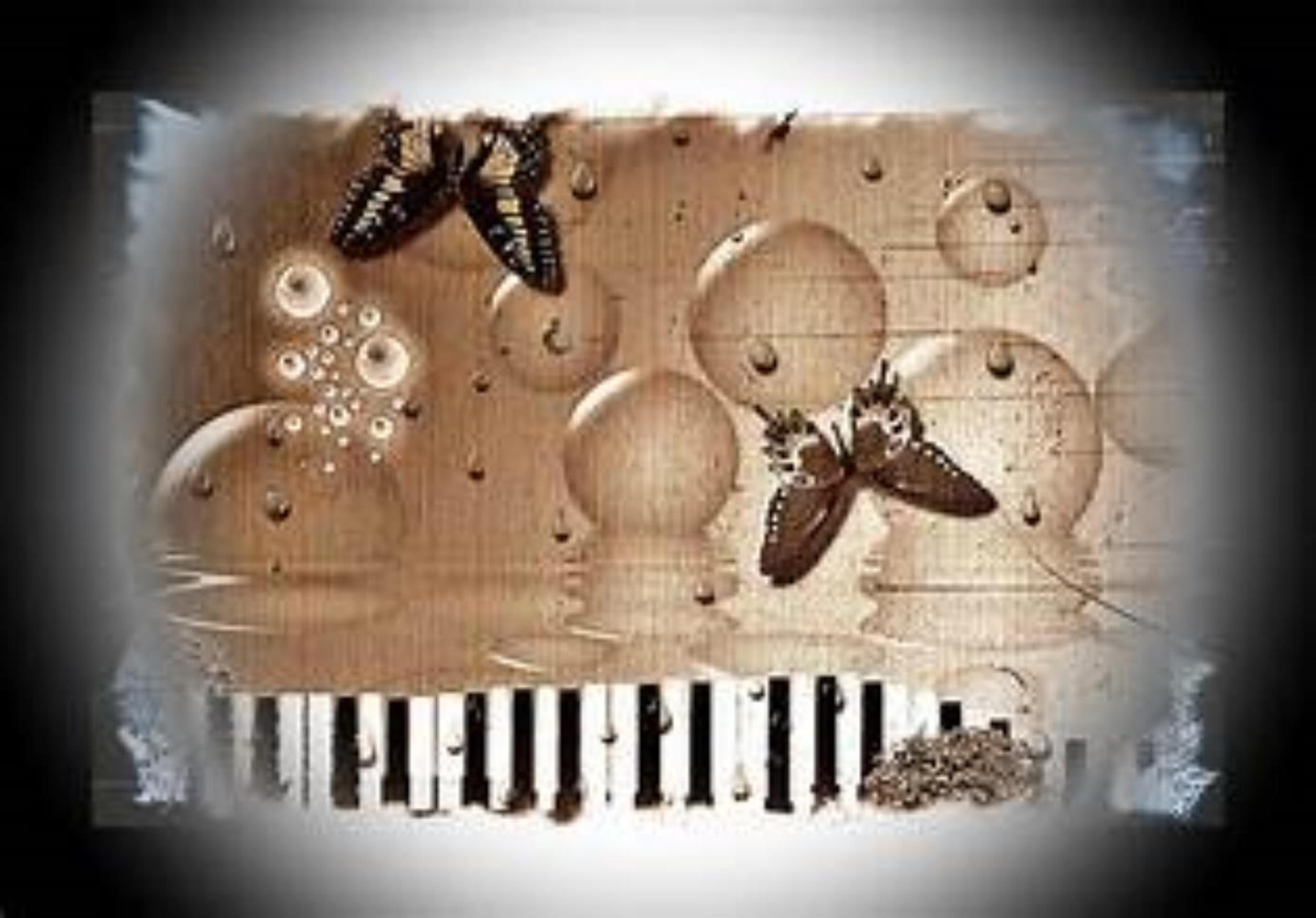 Shop cover image