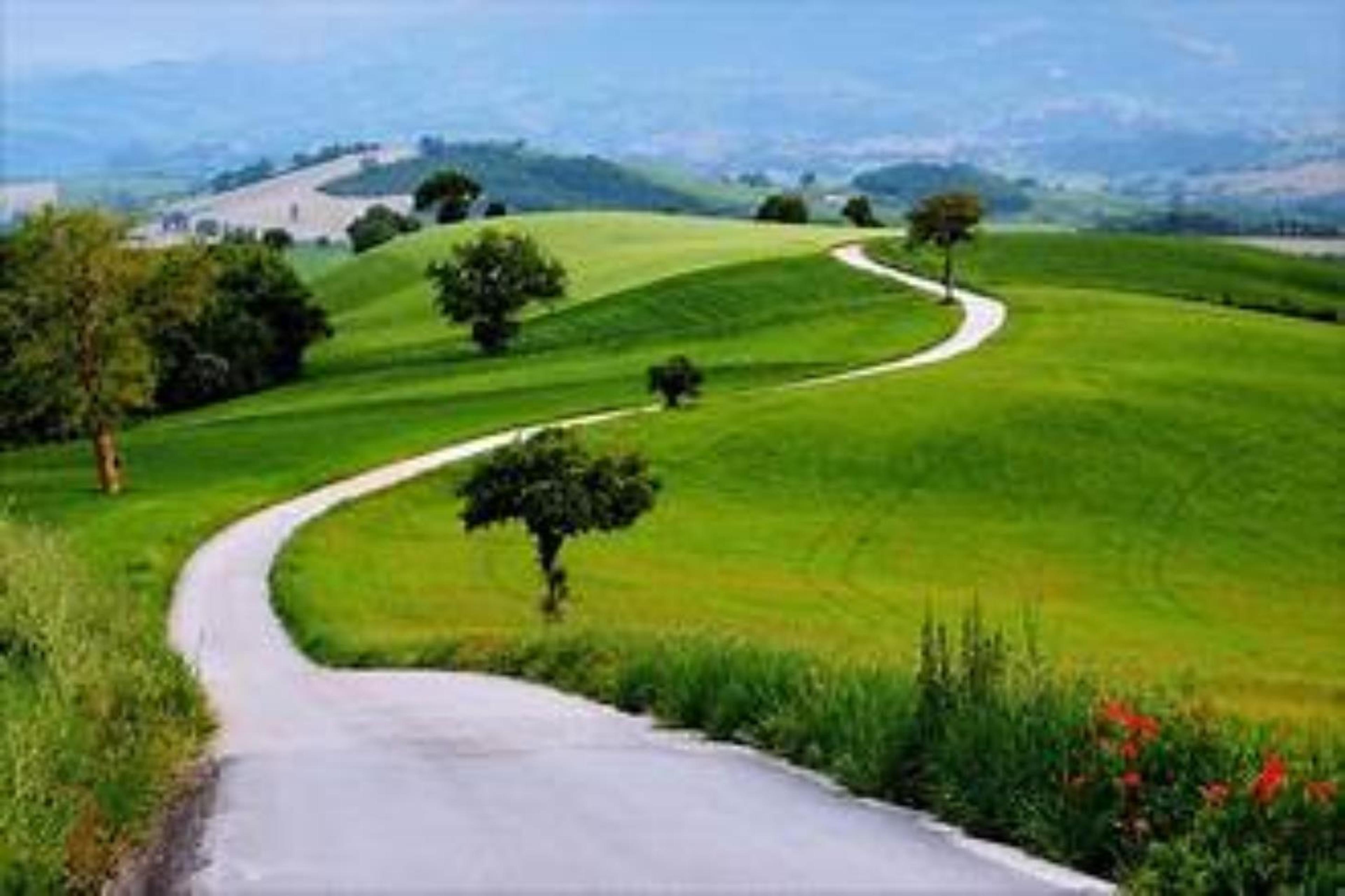 Shop cover image