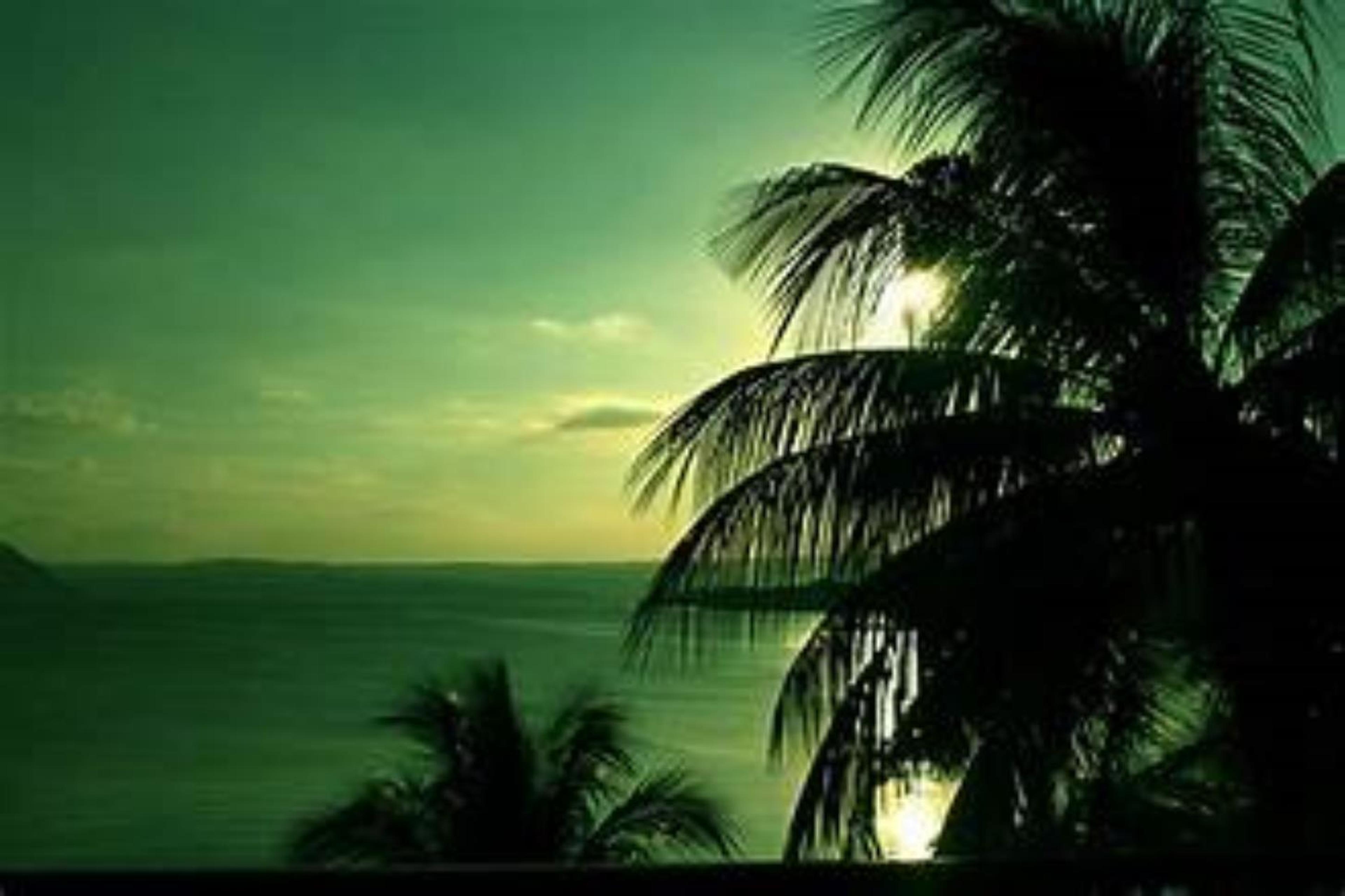 Shop cover image