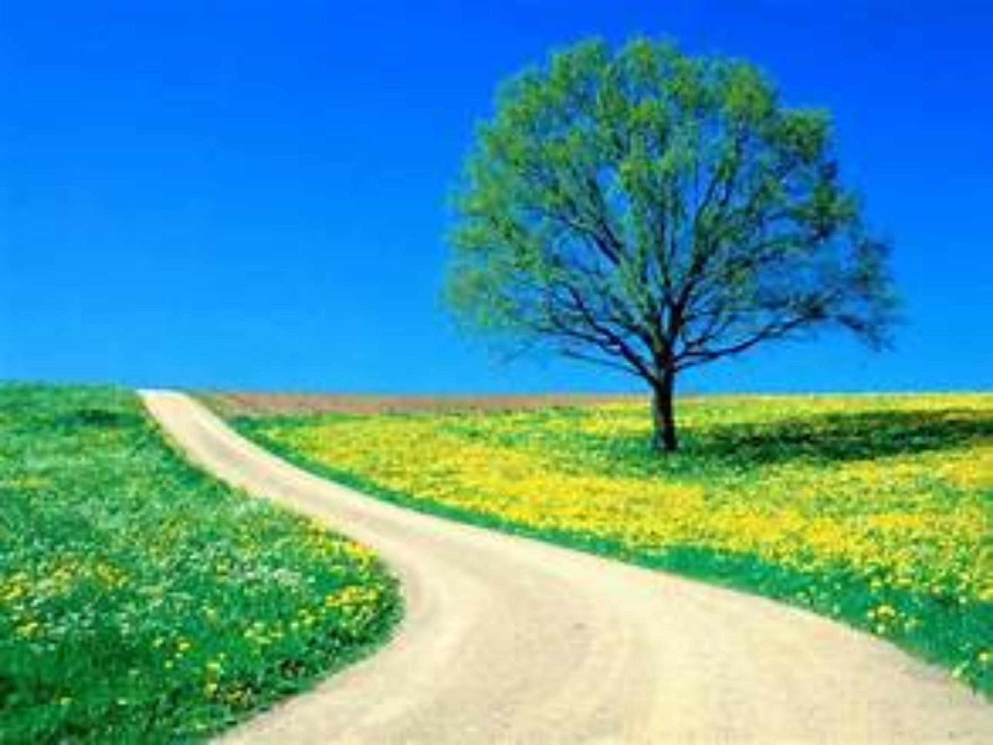 Shop cover image
