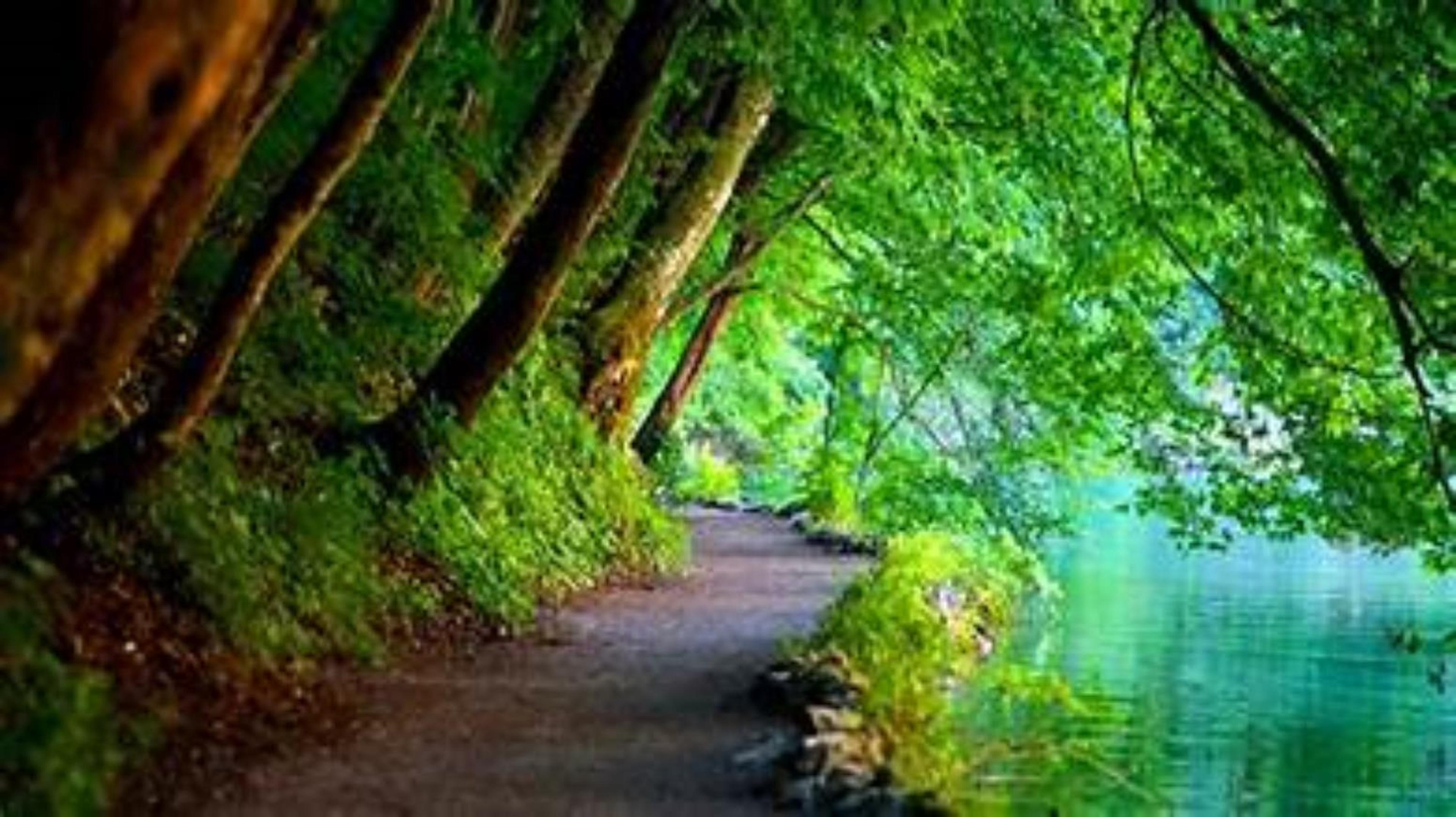 Shop cover image