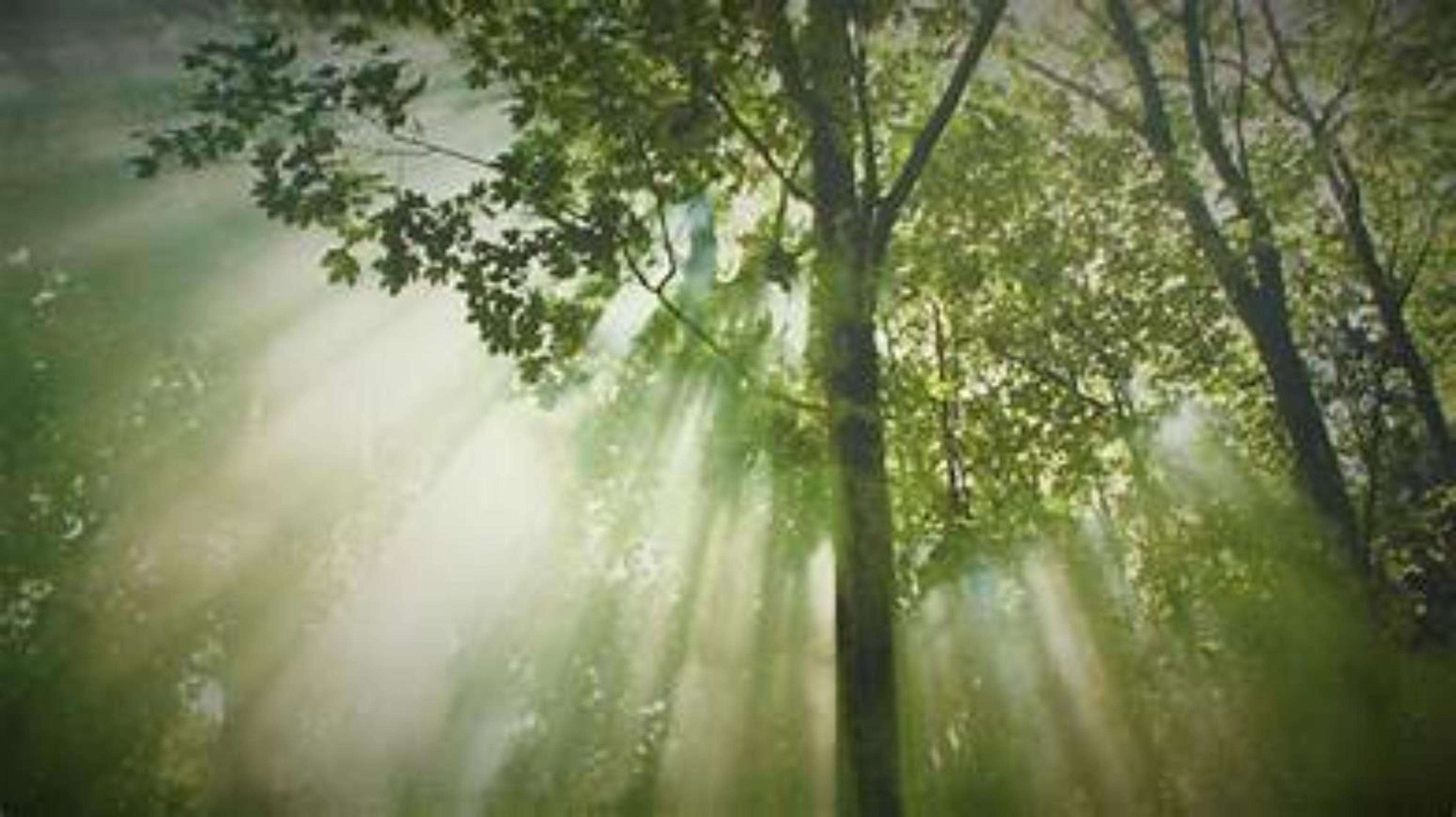 Shop cover image