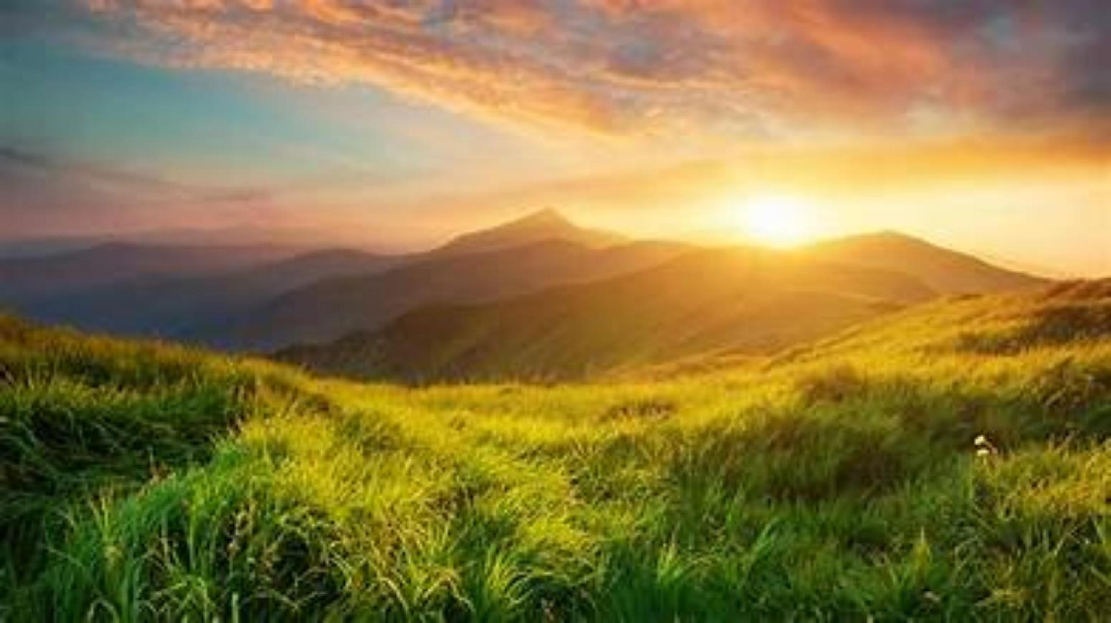Shop cover image