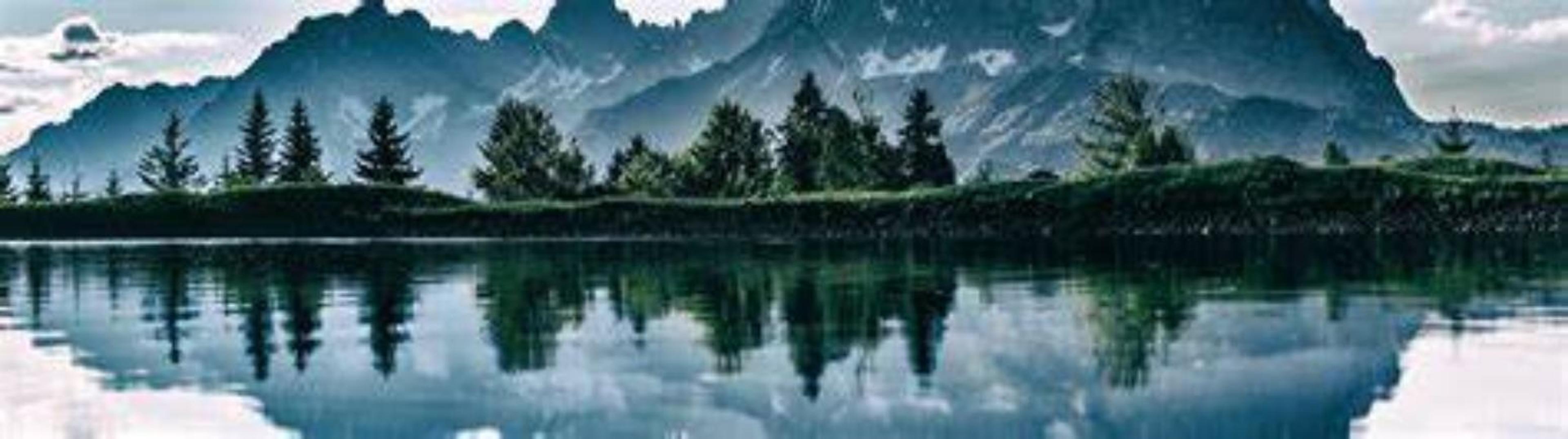 Shop cover image