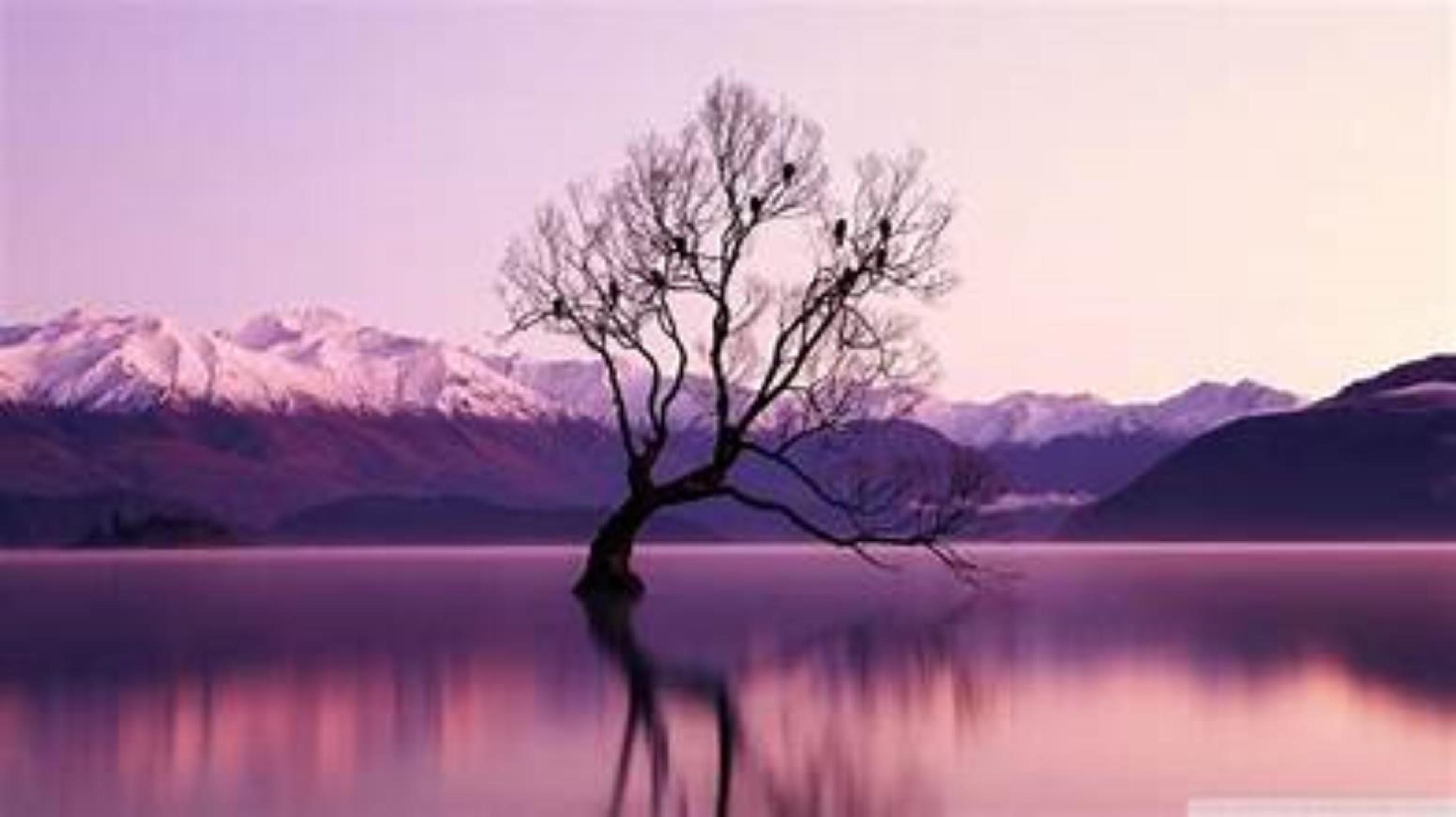 Shop cover image