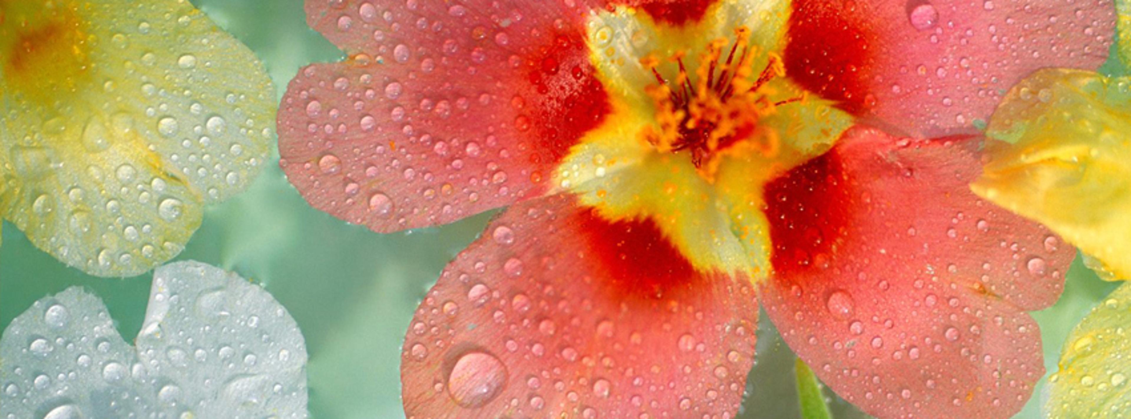 Shop cover image