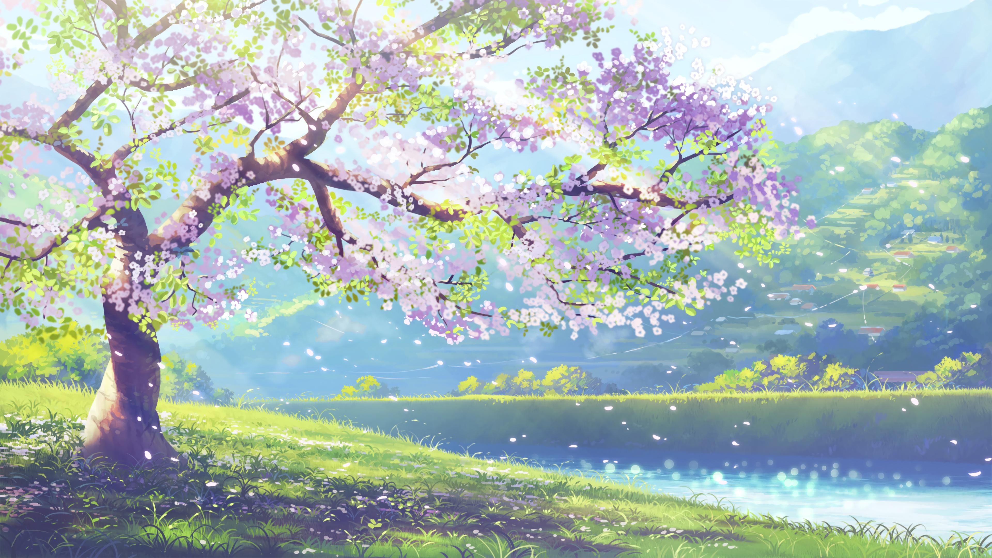 Shop cover image