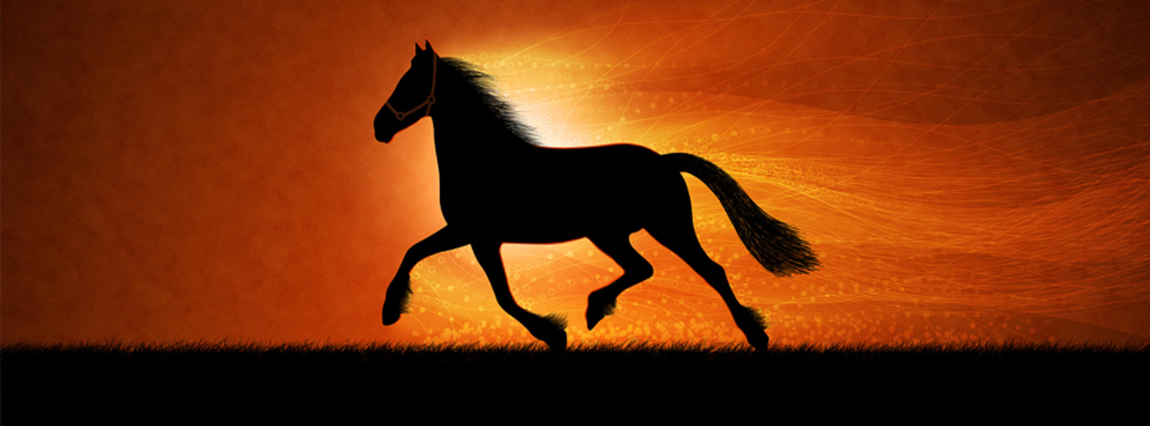 Shop cover image