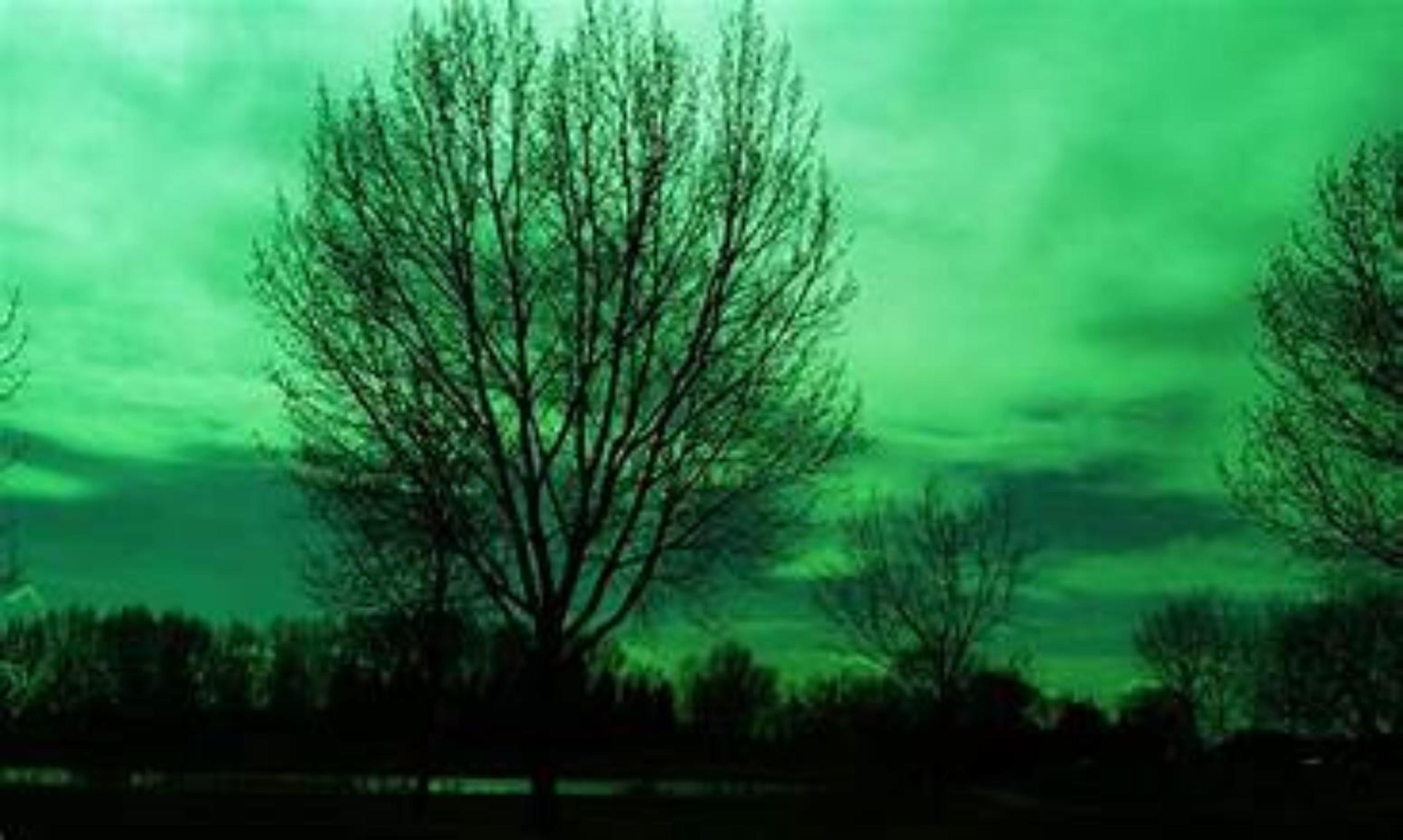 Shop cover image