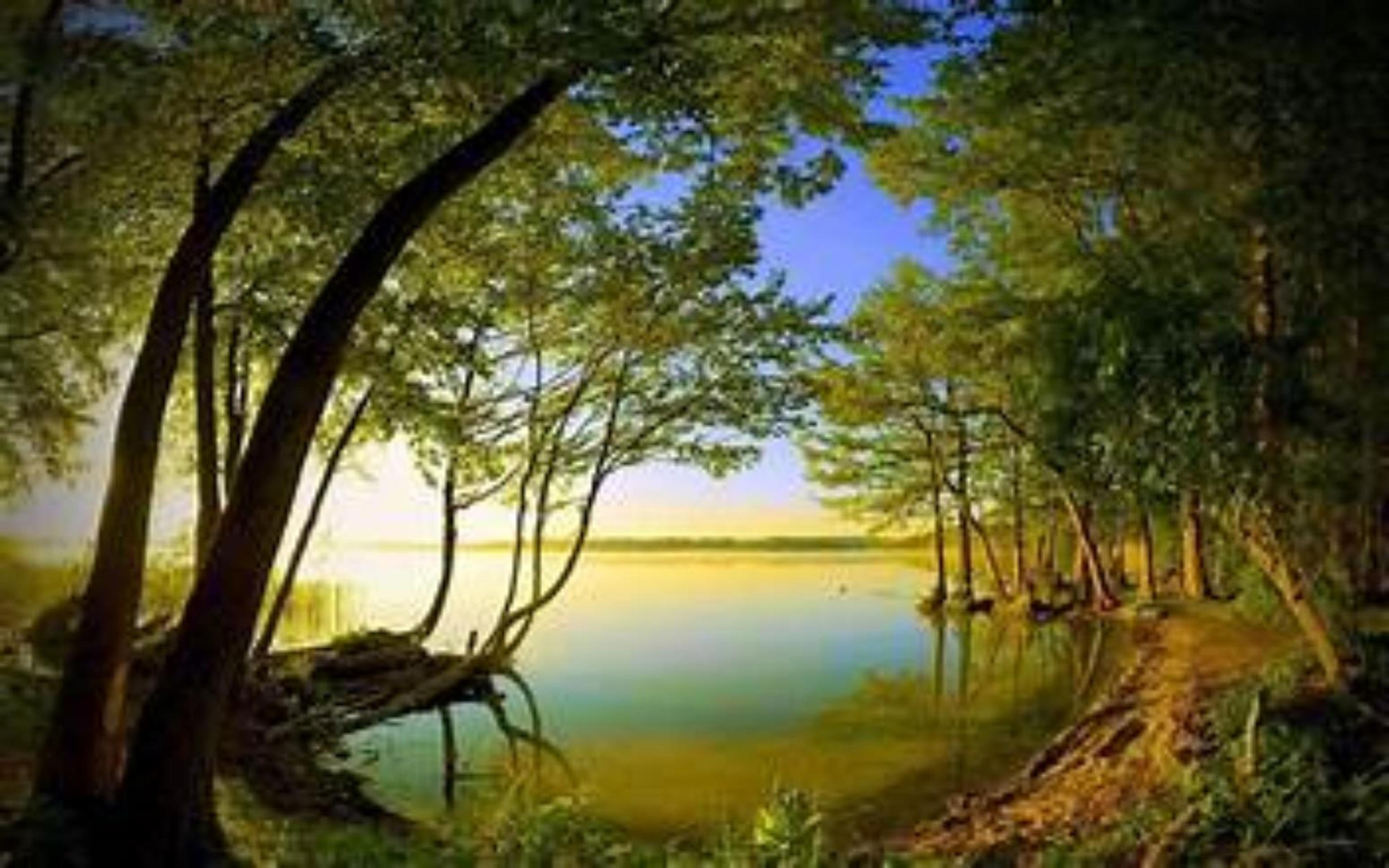 Shop cover image