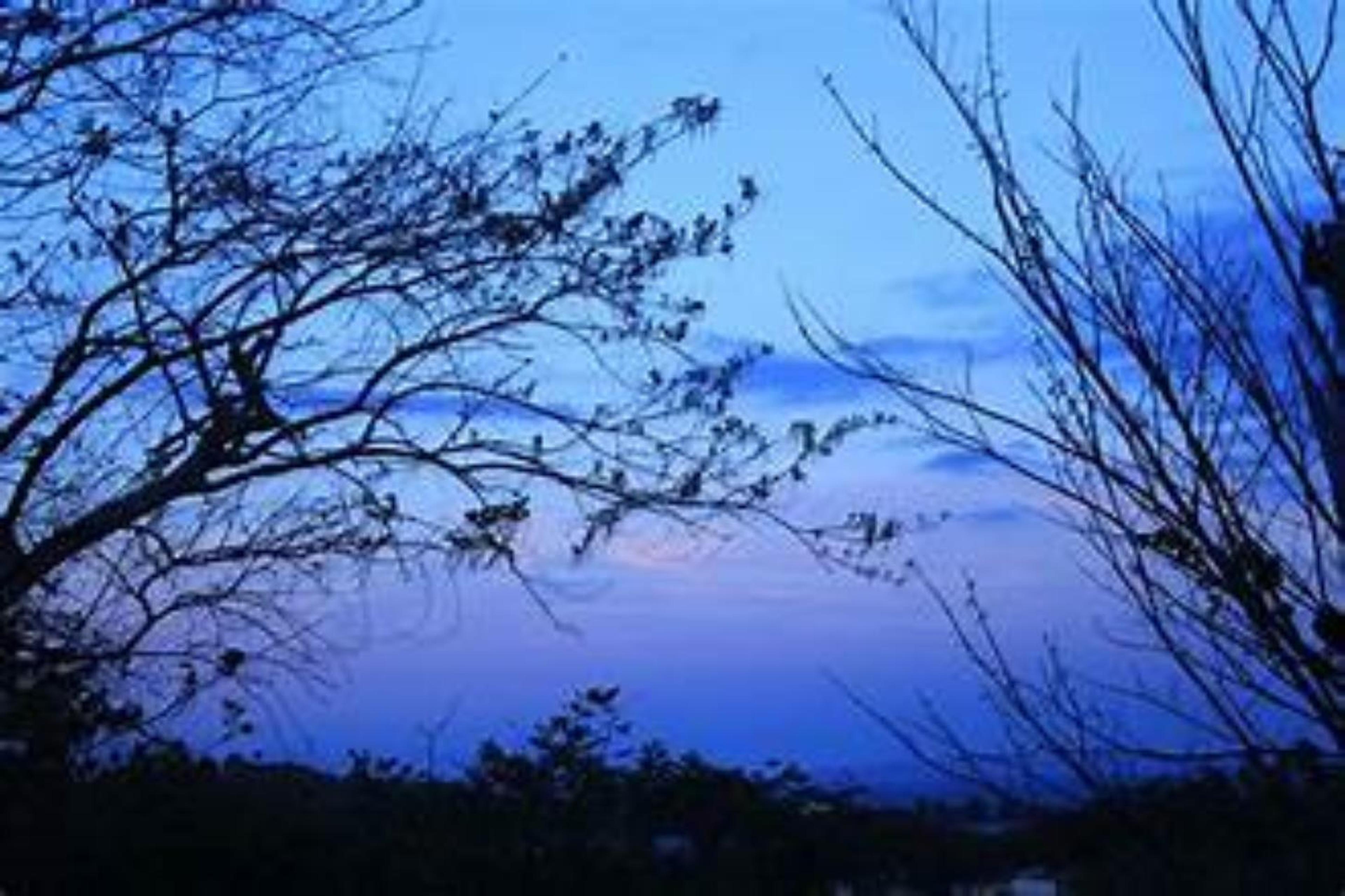 Shop cover image