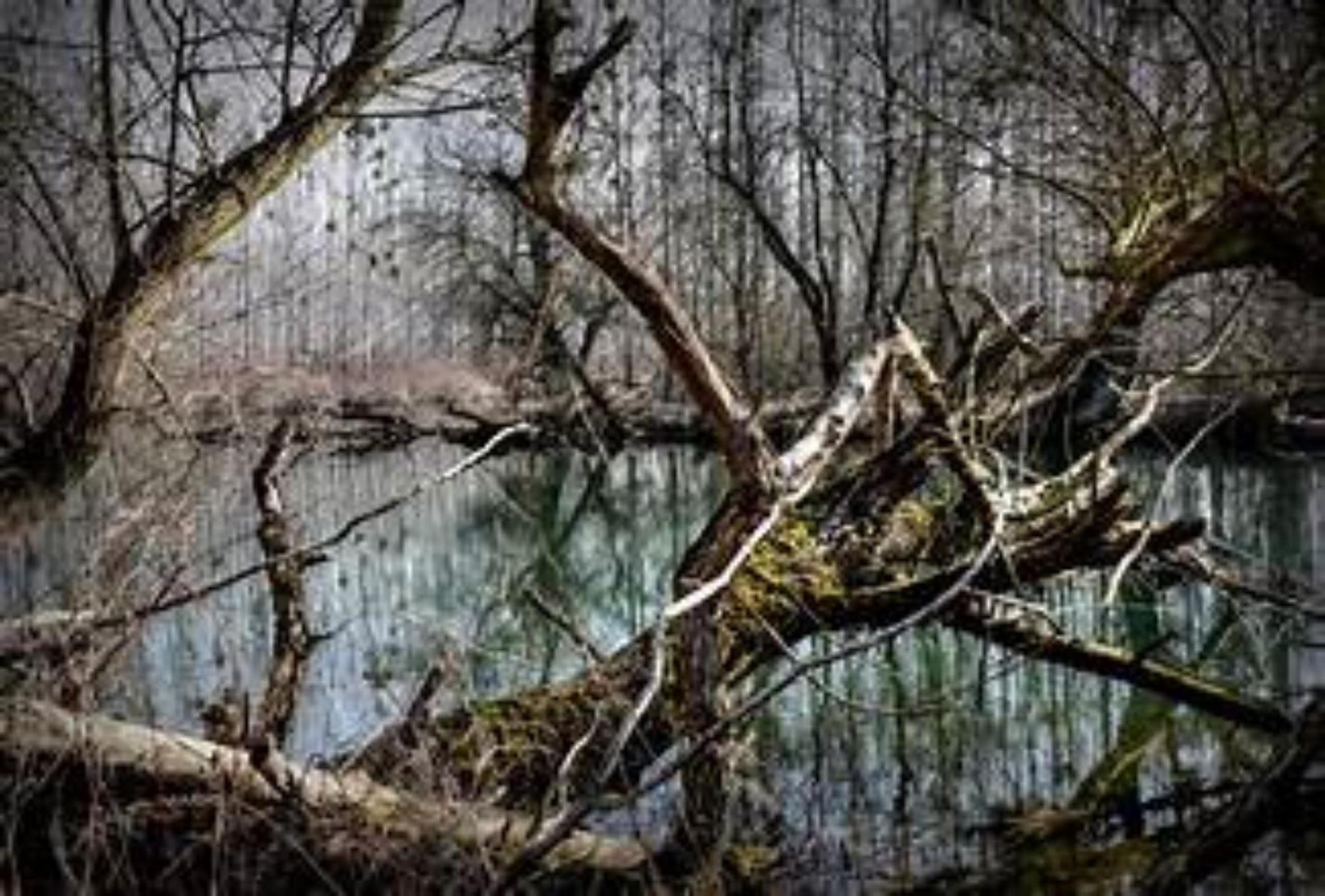Shop cover image