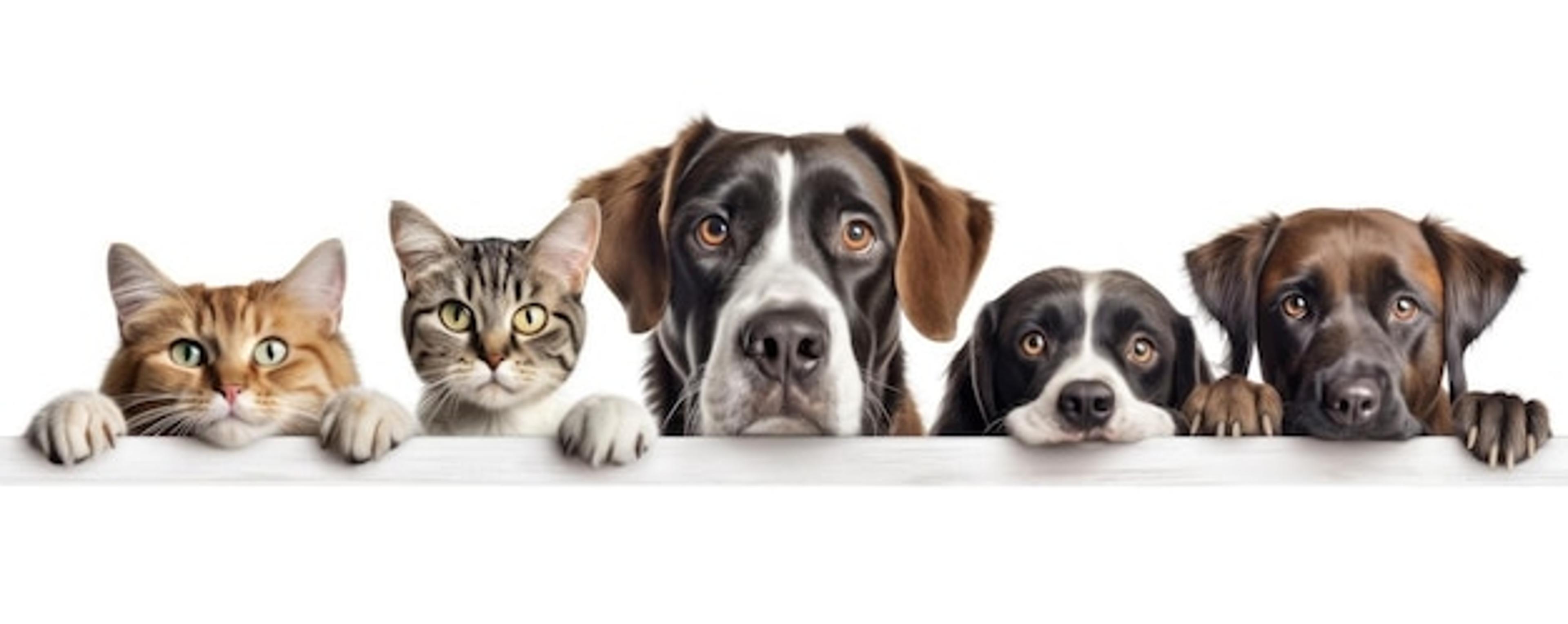 Shop cover image