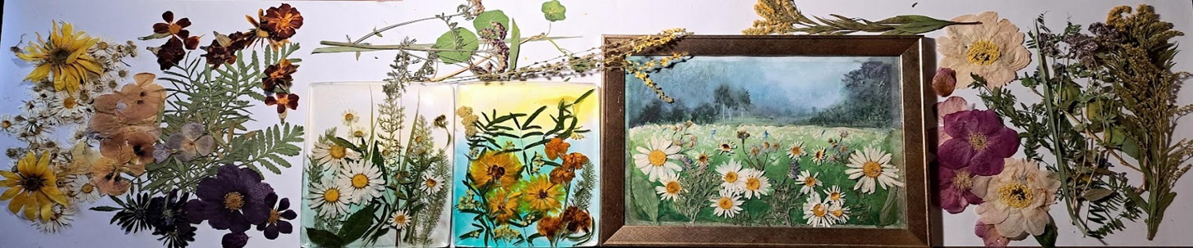Shop cover image