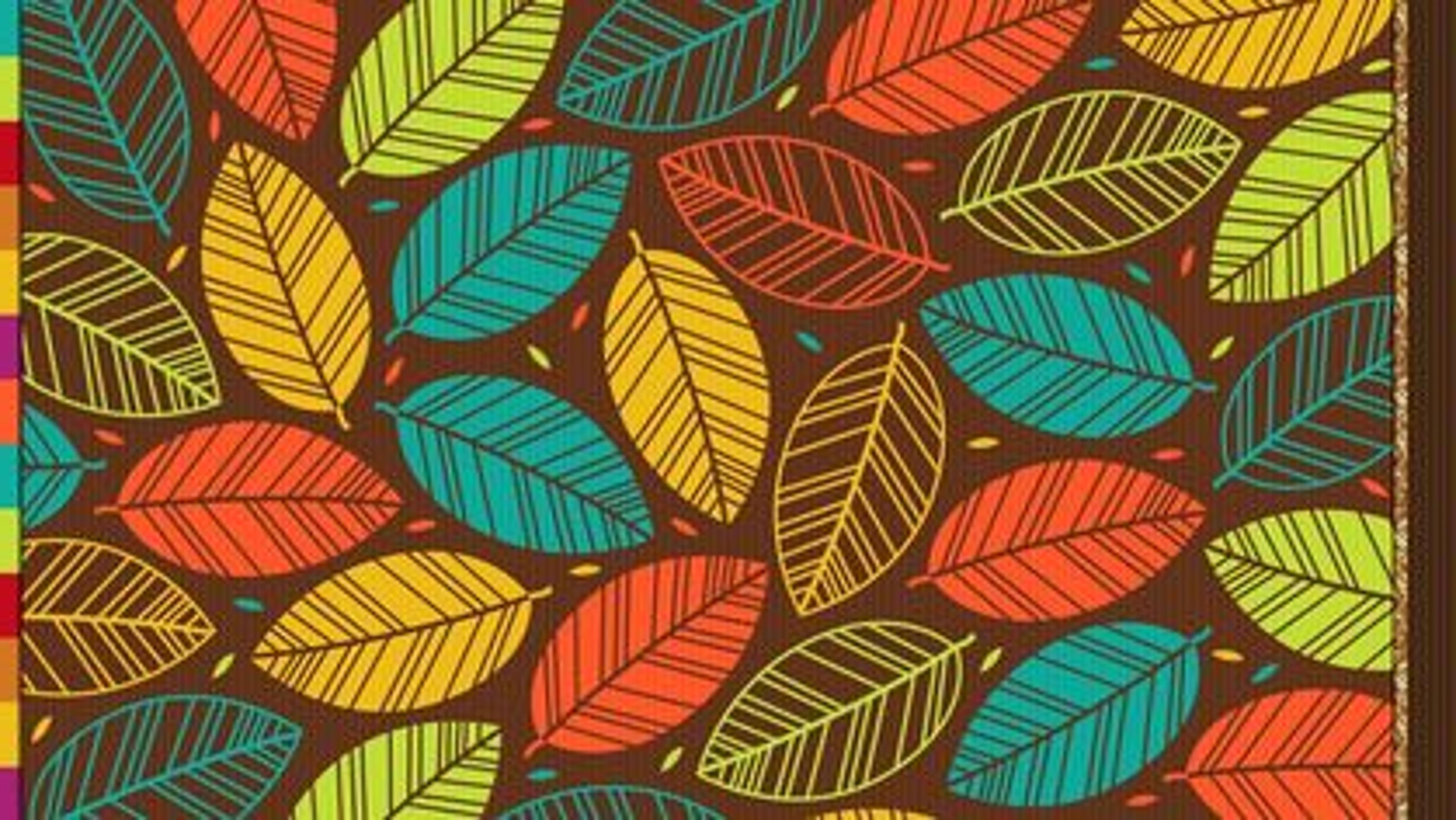 Shop cover image