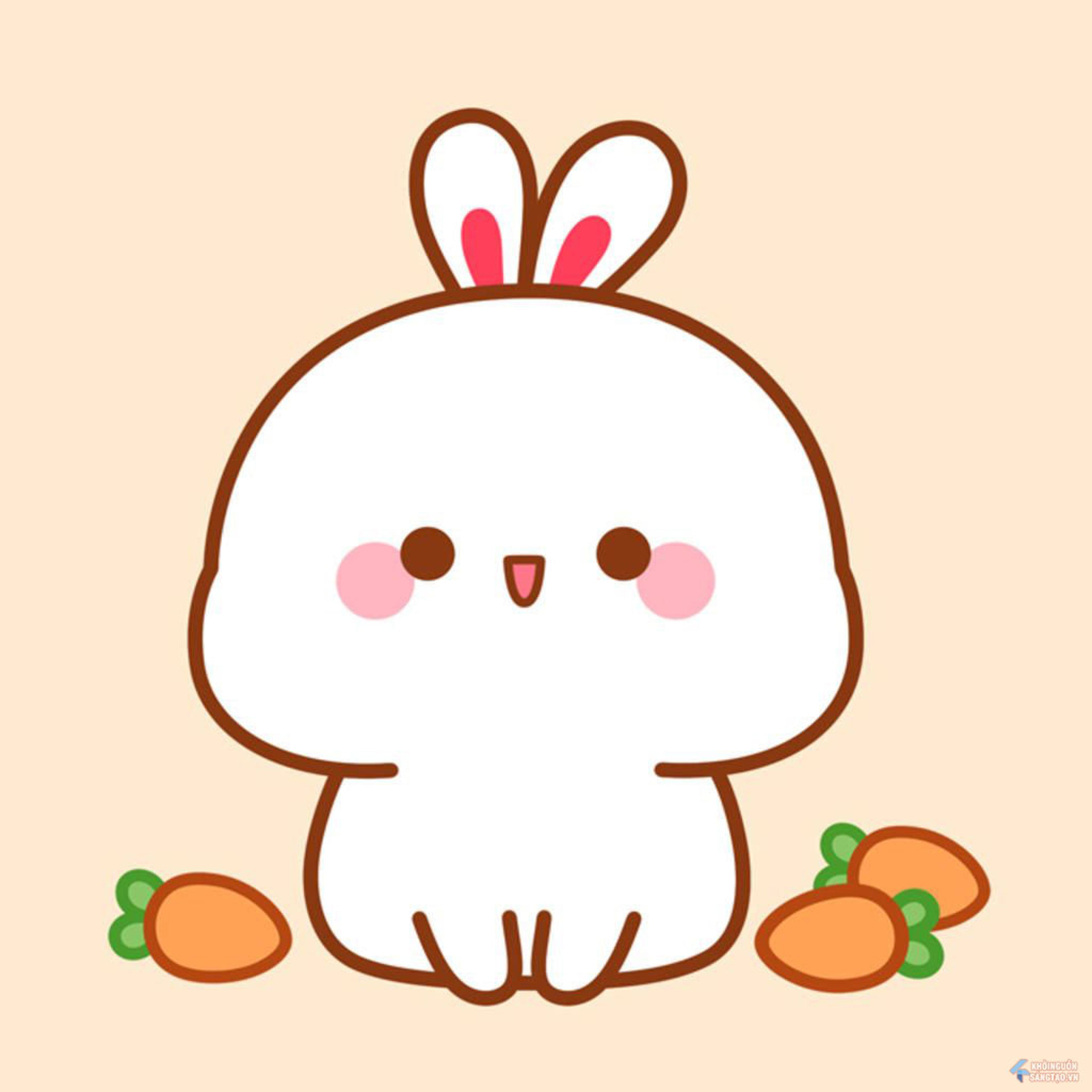 Shop cover image