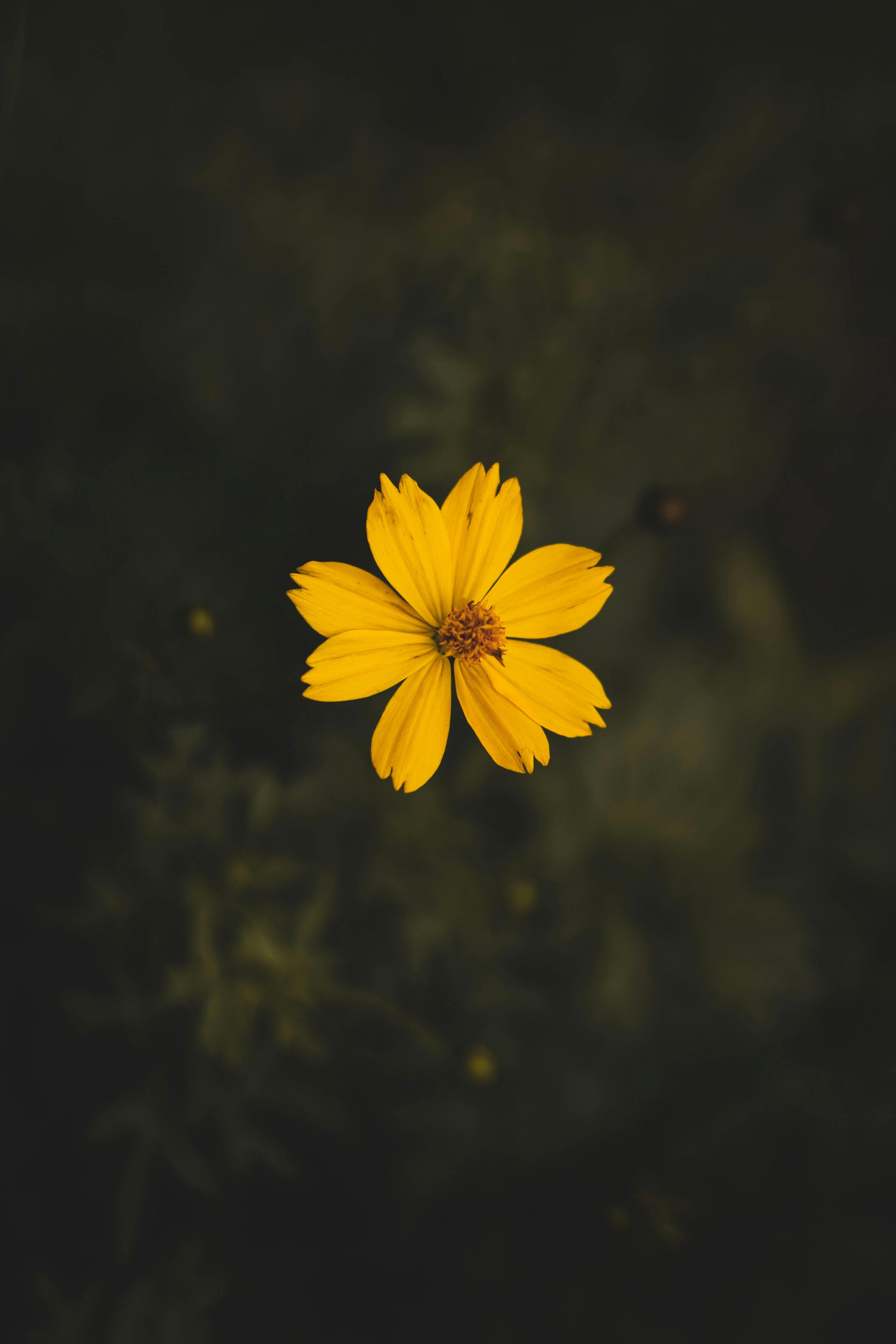 Shop cover image