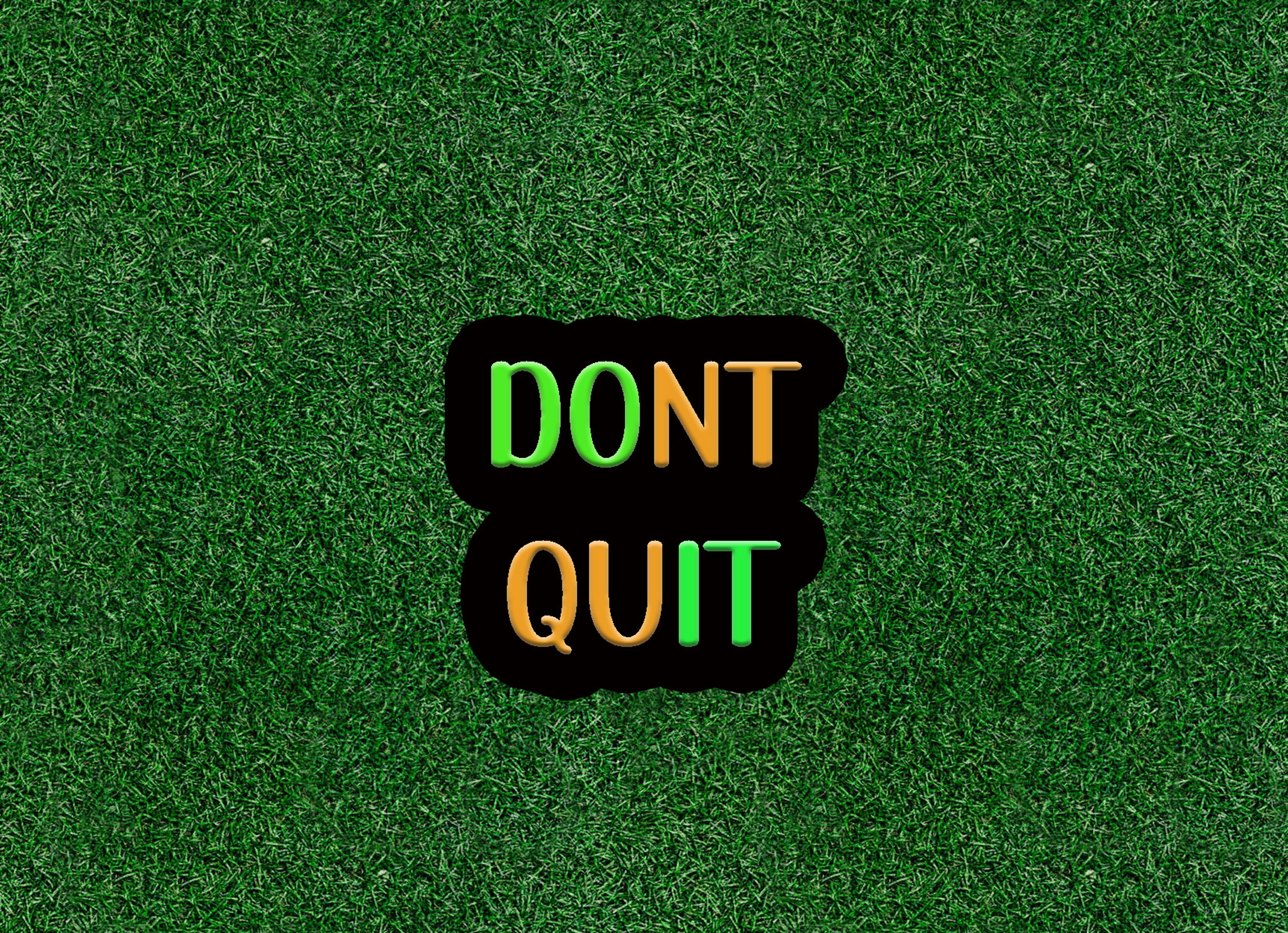 Shop cover image