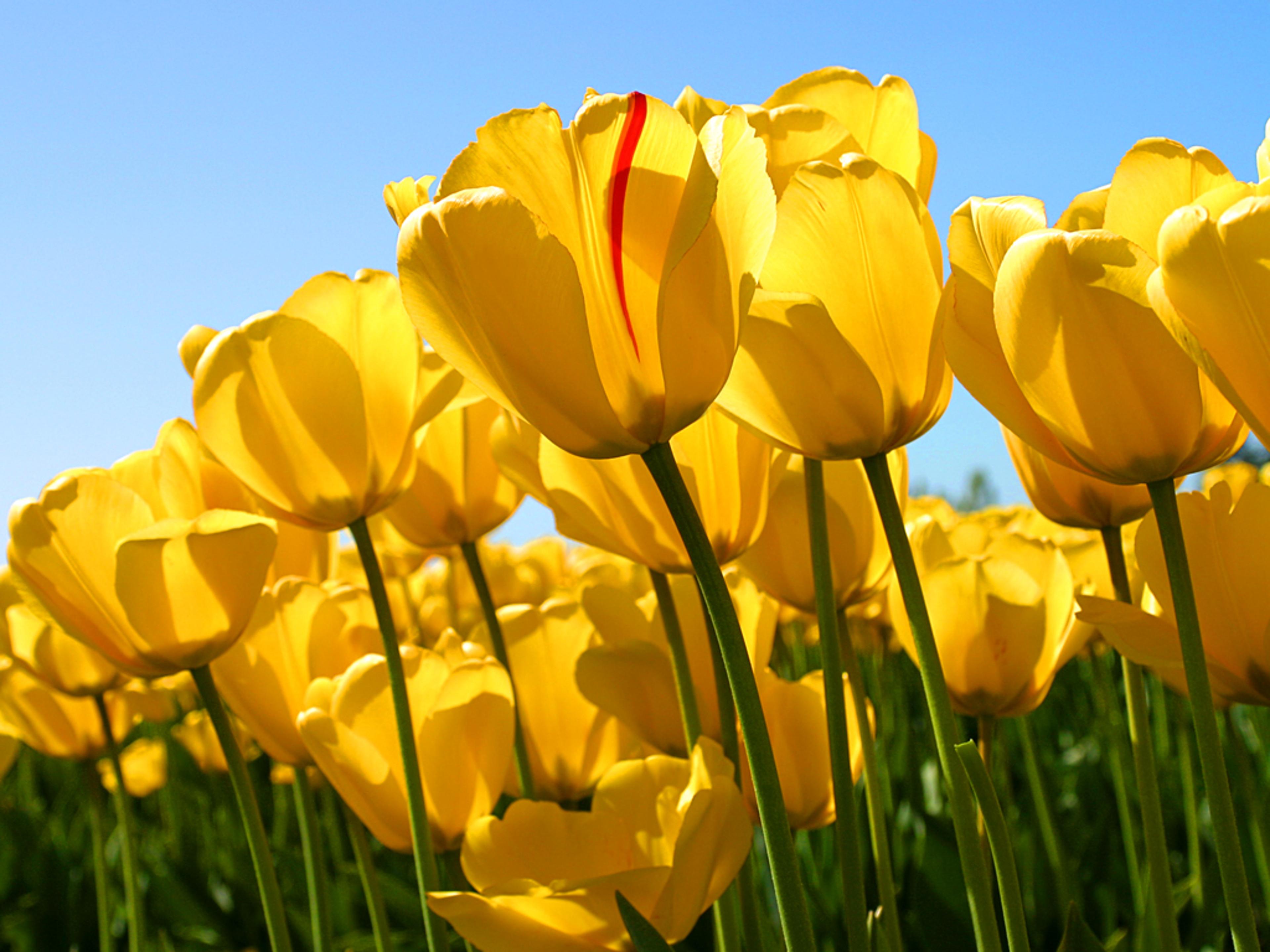 Shop cover image