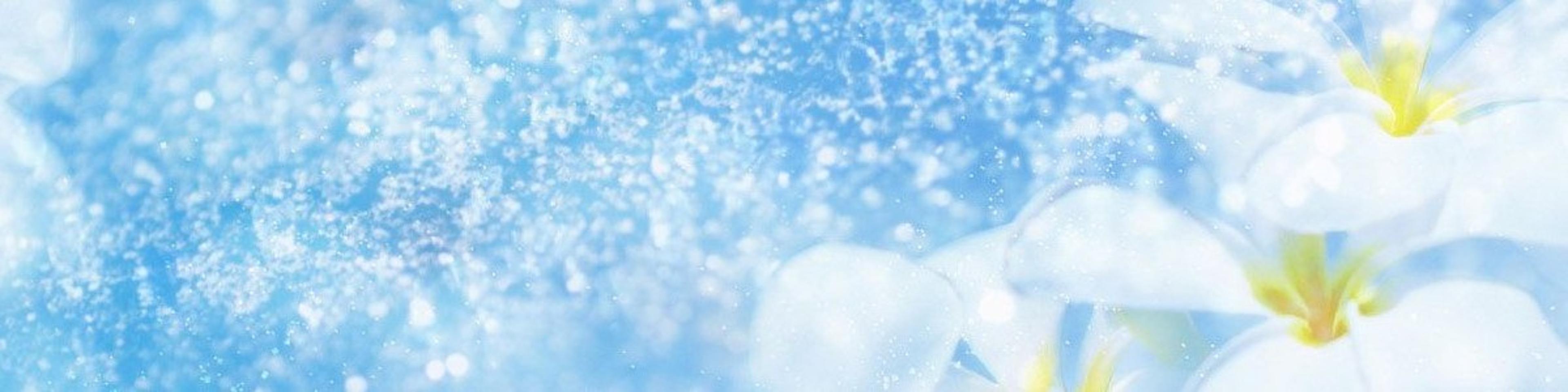 Shop cover image