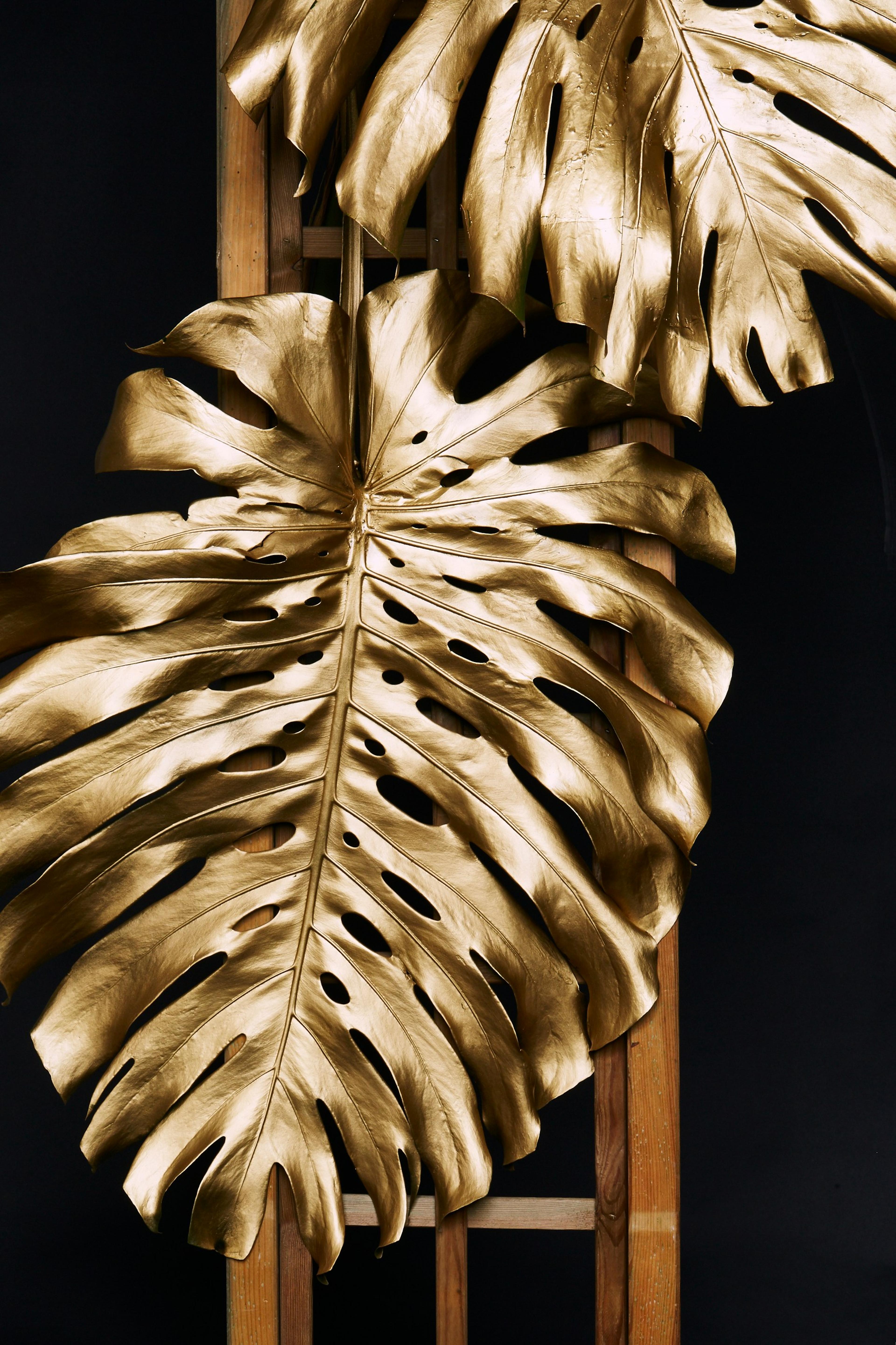 Shop cover image