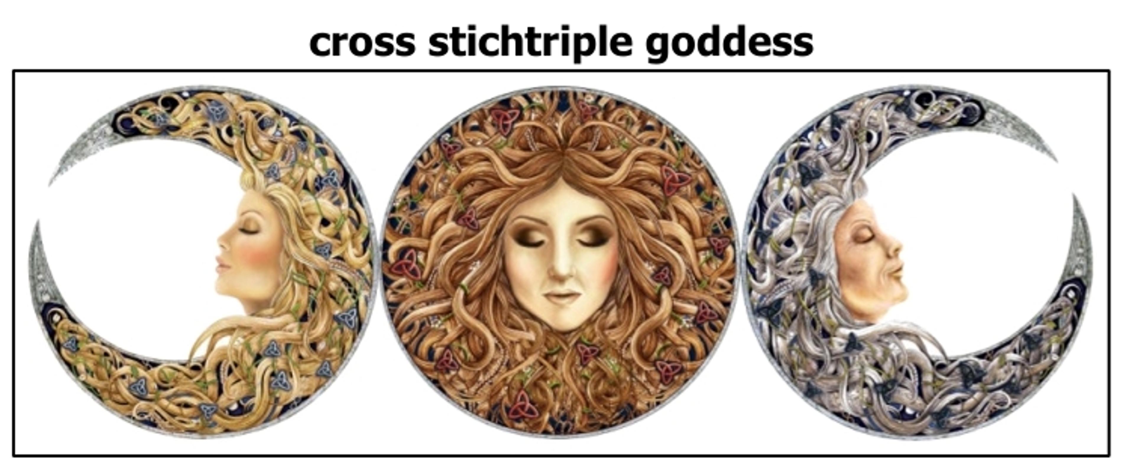 Shop cover image