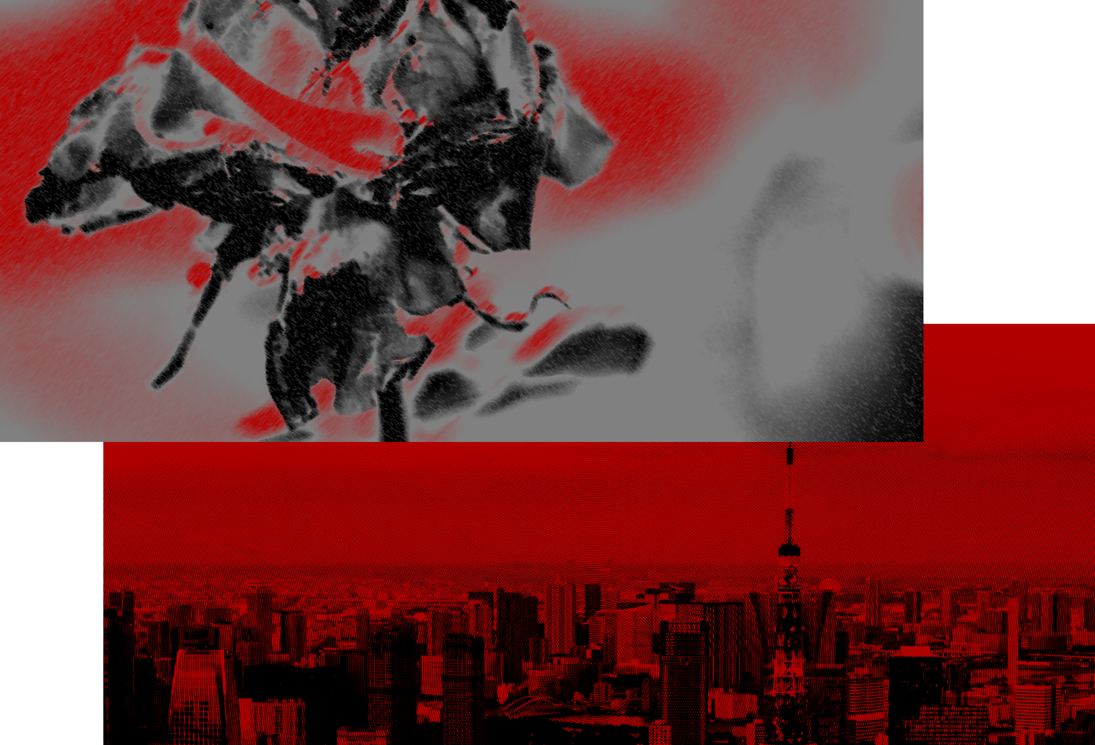 Shop cover image