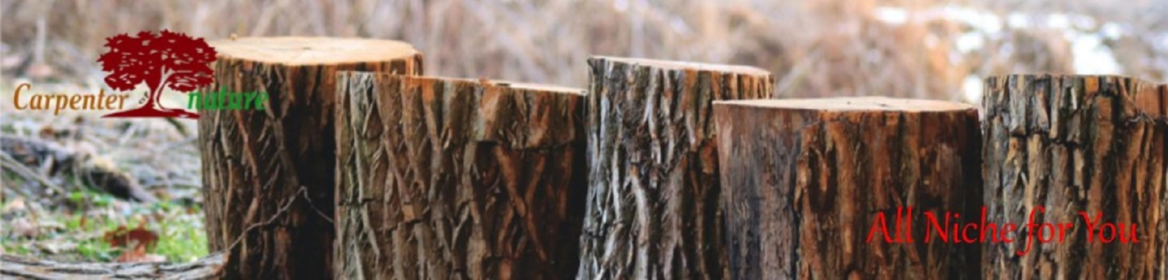 Shop cover image