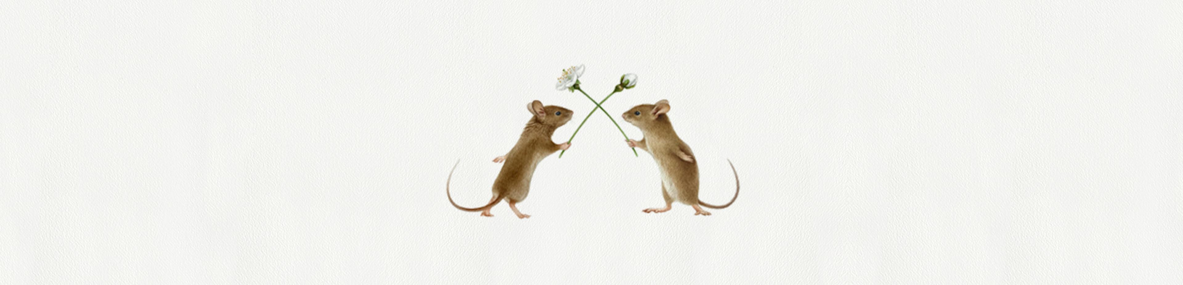 Shop cover image