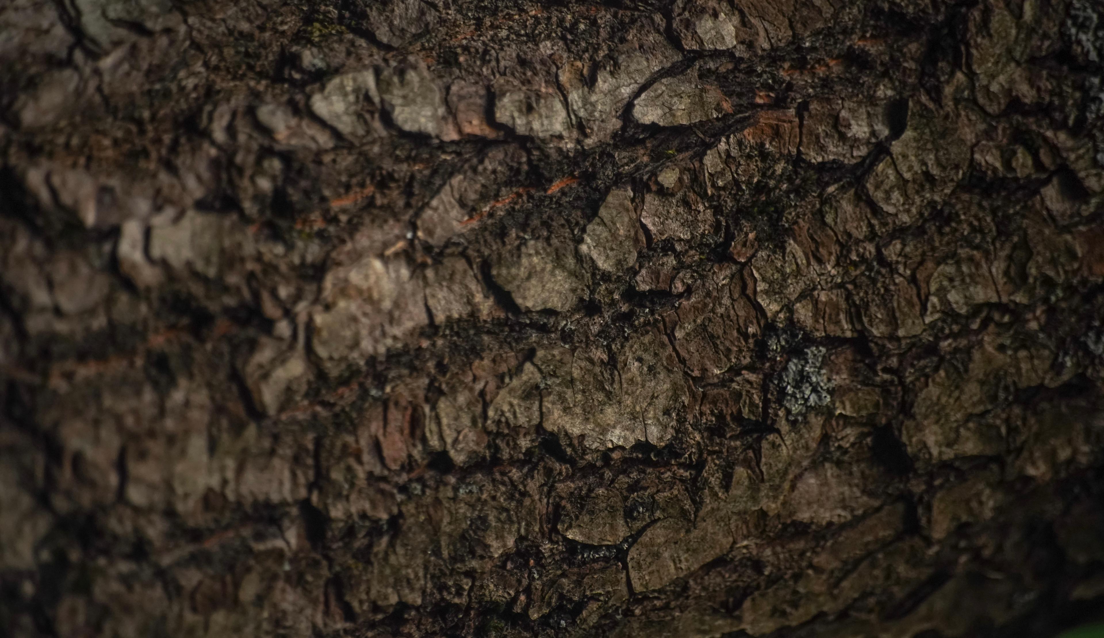 Shop cover image