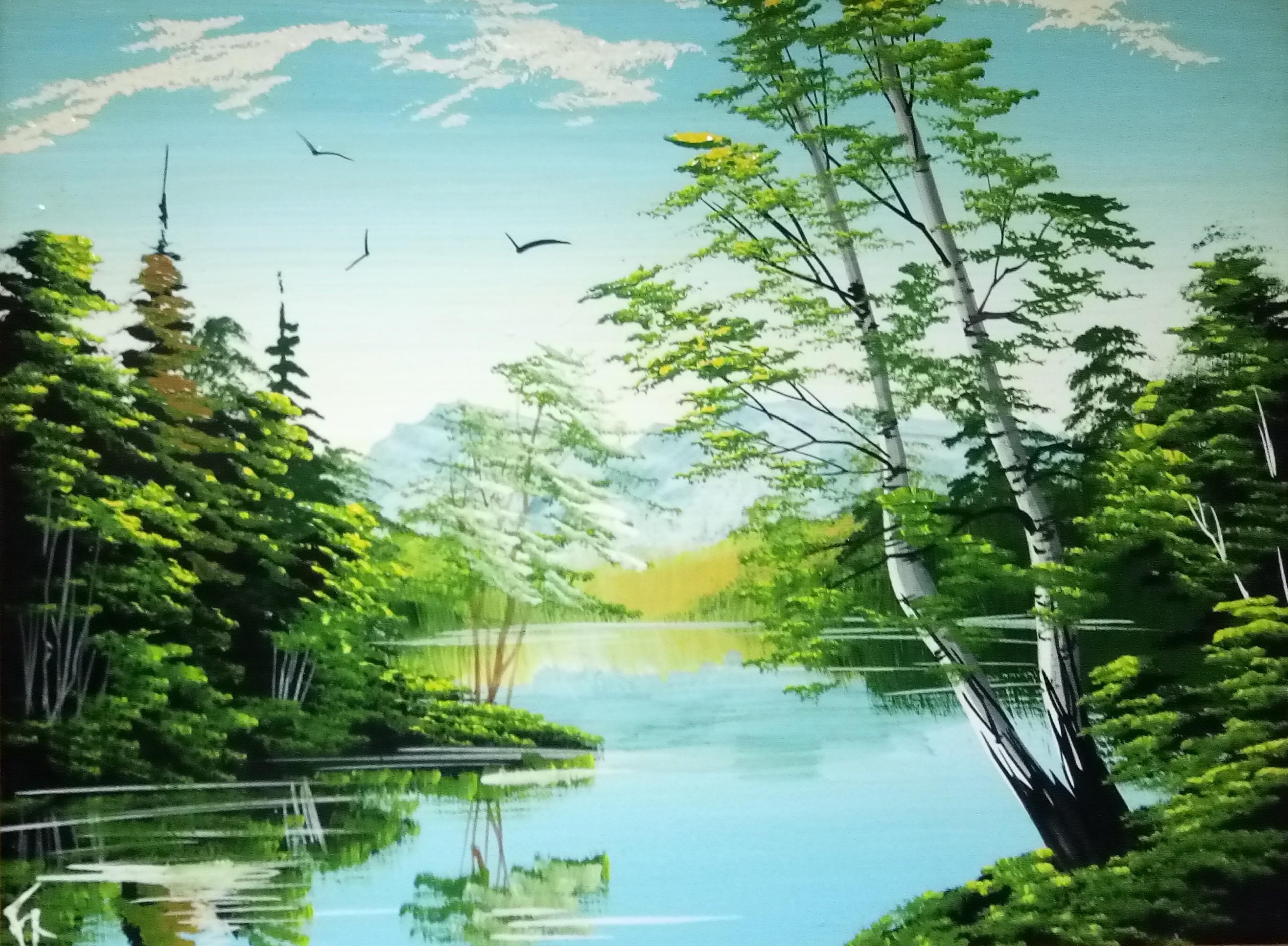 Shop cover image