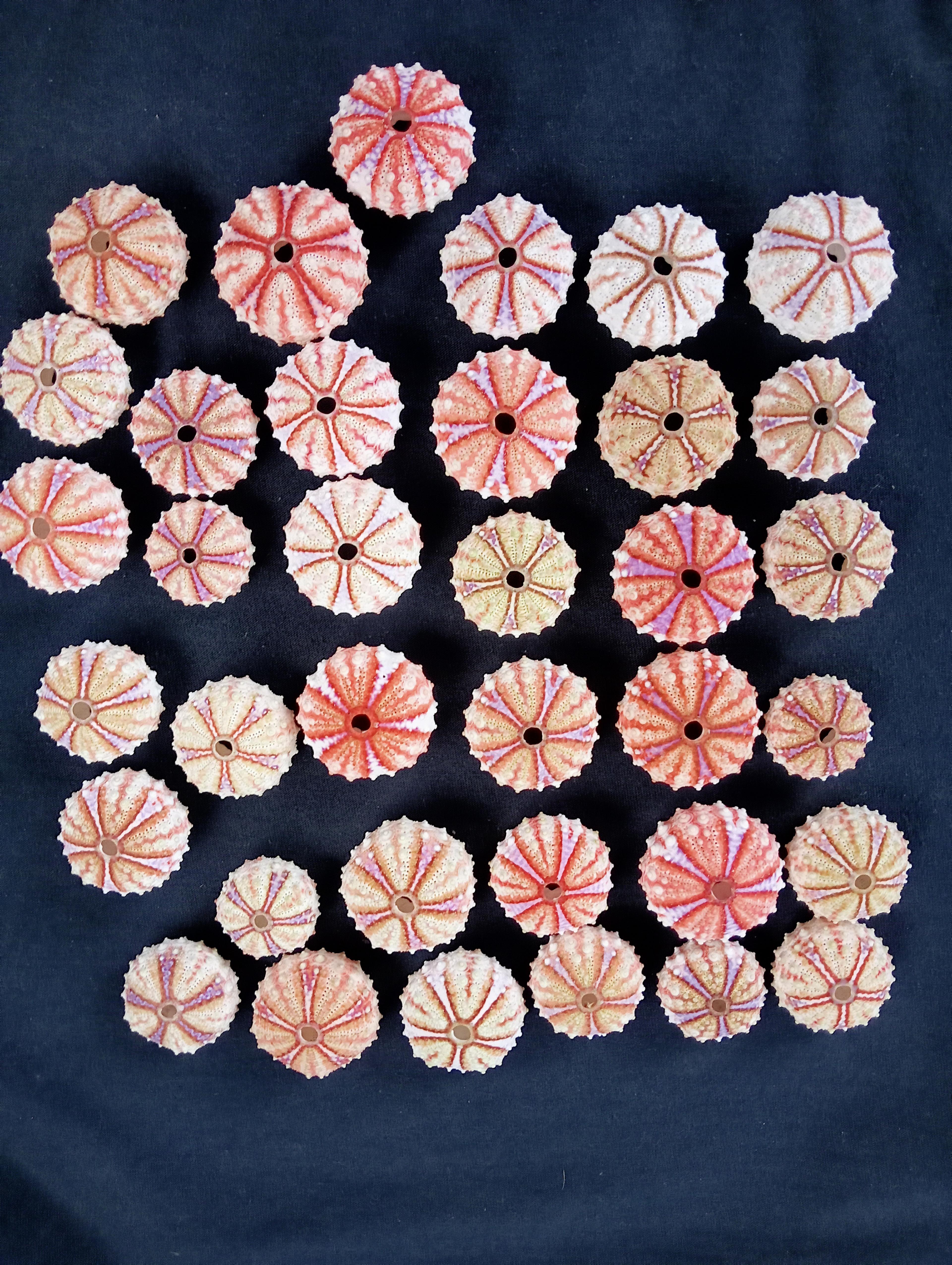 Shop cover image