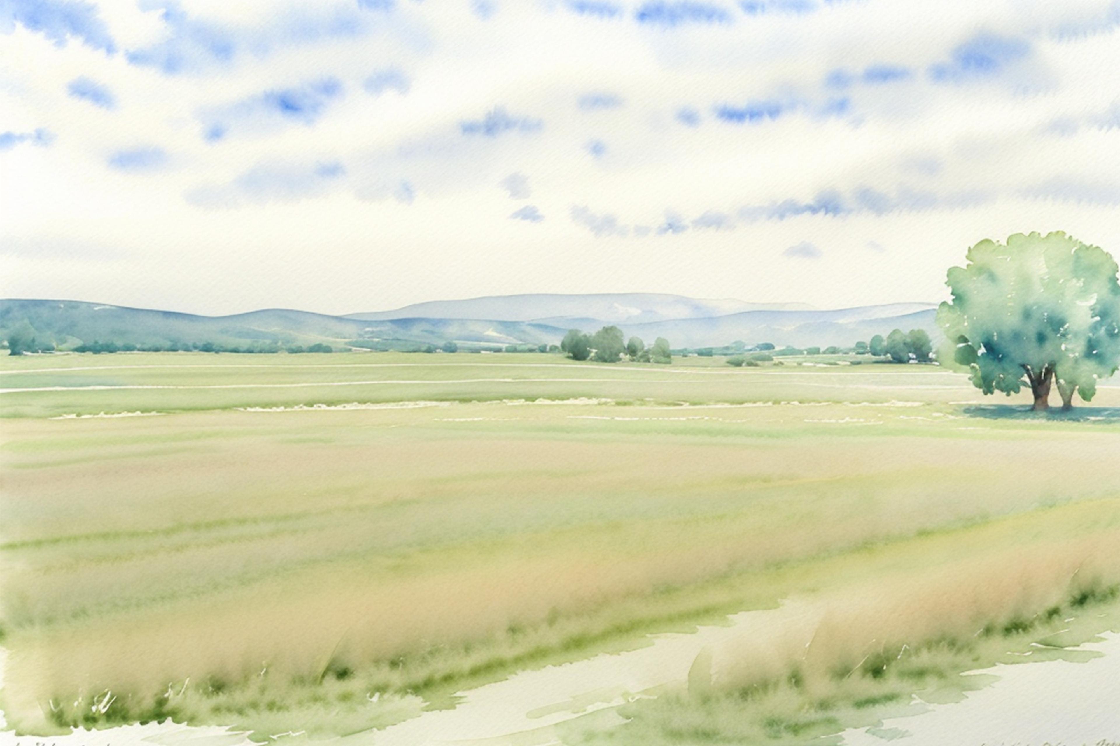 Shop cover image